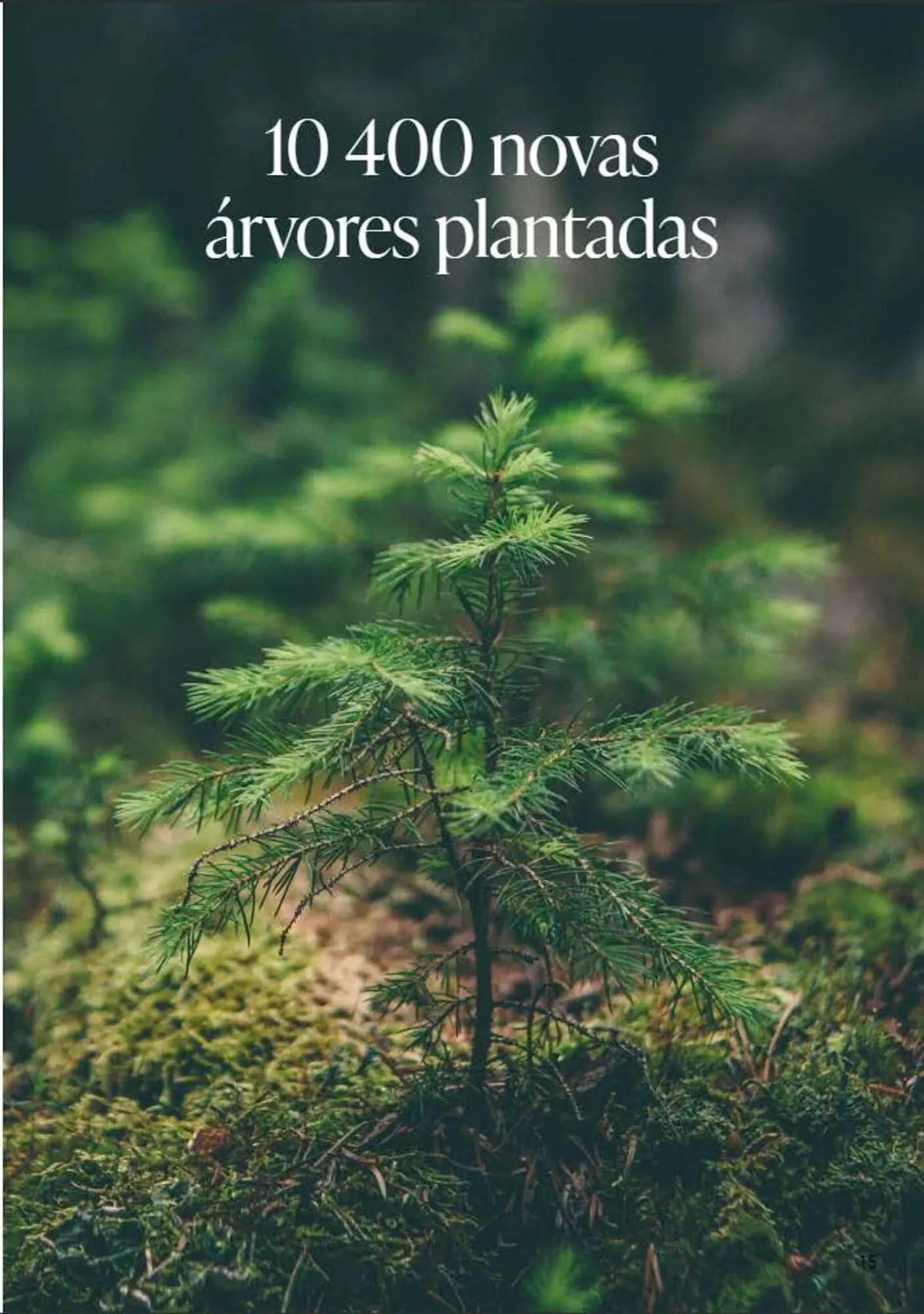 Folheto Folheto Porcelanosa de 7 de fevereiro até 31 de dezembro 2025 - Pagina 15