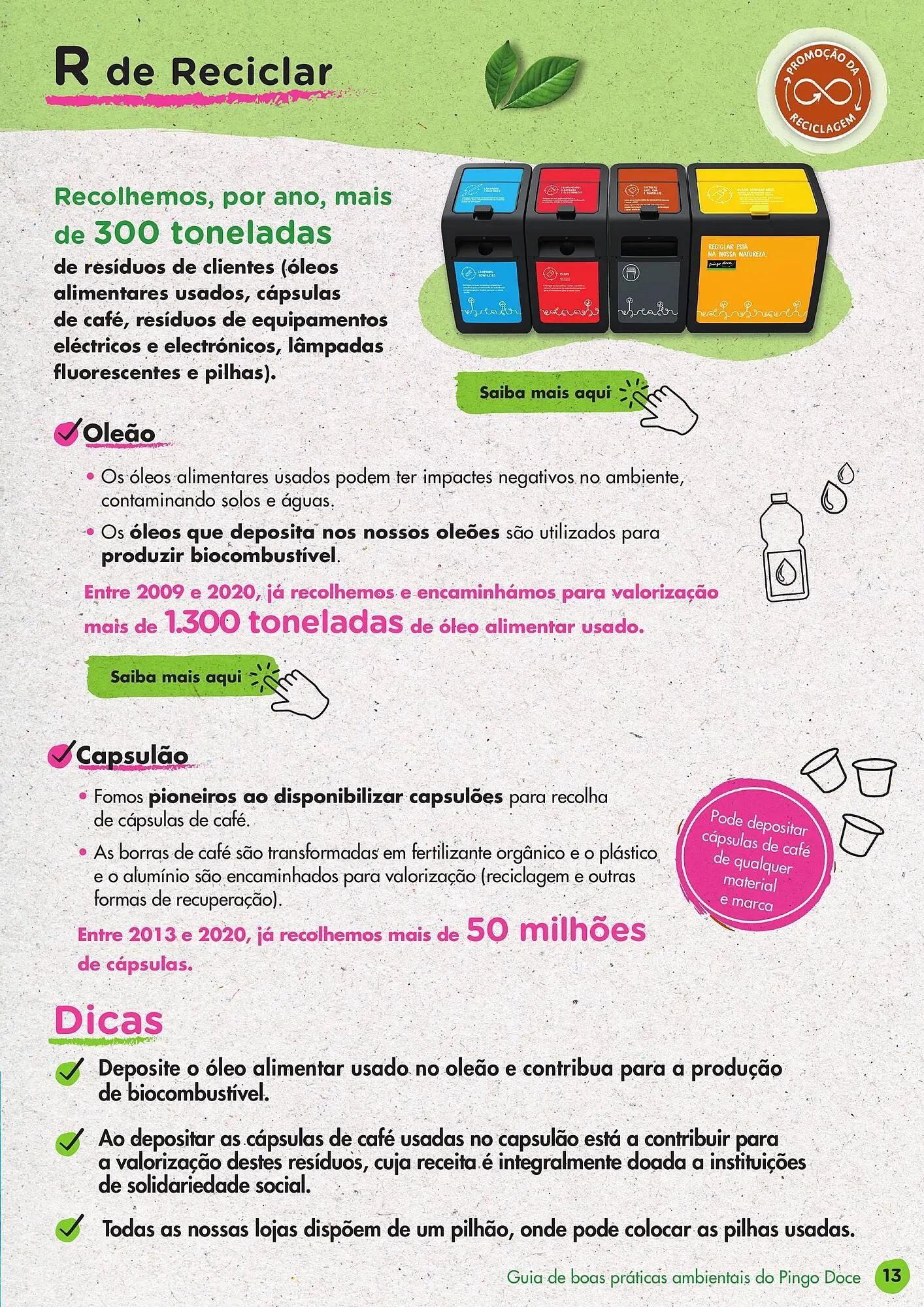 Folheto Folheto Pingo Doce de 19 de outubro até 26 de dezembro 2026 - Pagina 13