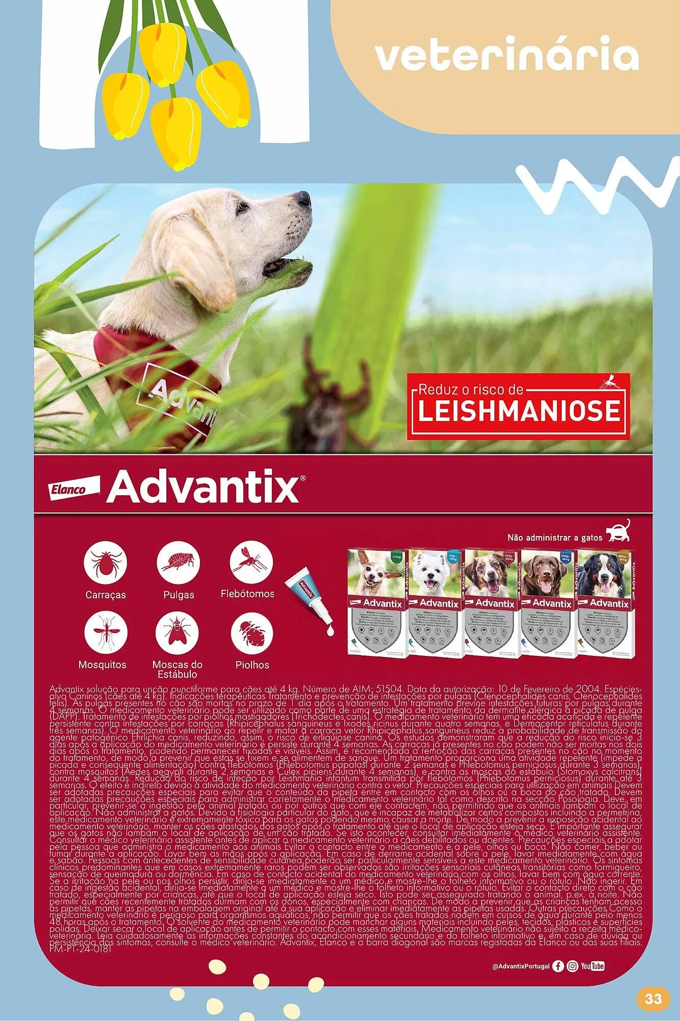 Folheto Folheto Pingo Doce de 20 de maio até 16 de junho 2025 - Pagina 33