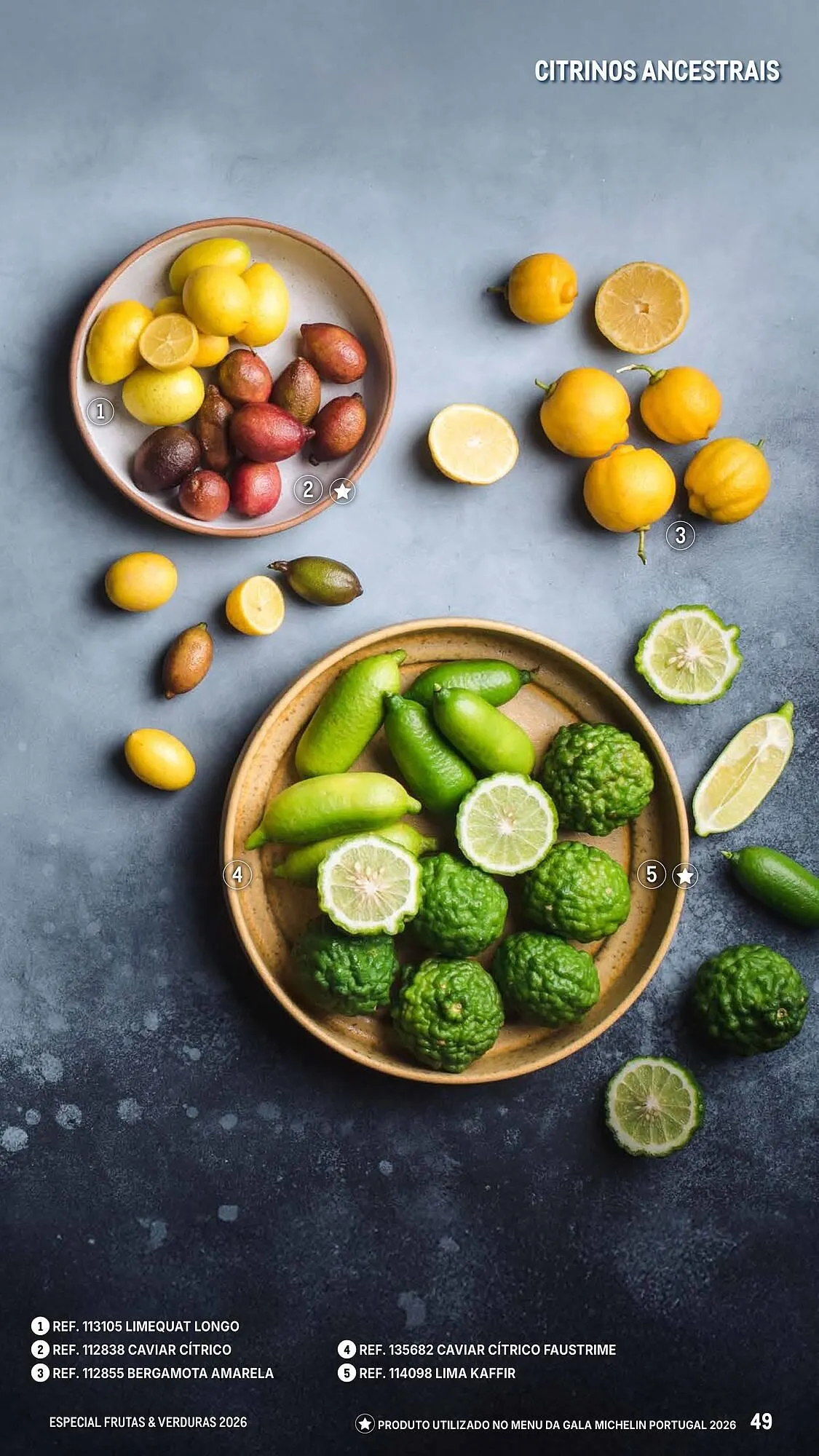 Folheto Catálogo Makro de 6 de março até 25 de abril 2026 - Pagina 49