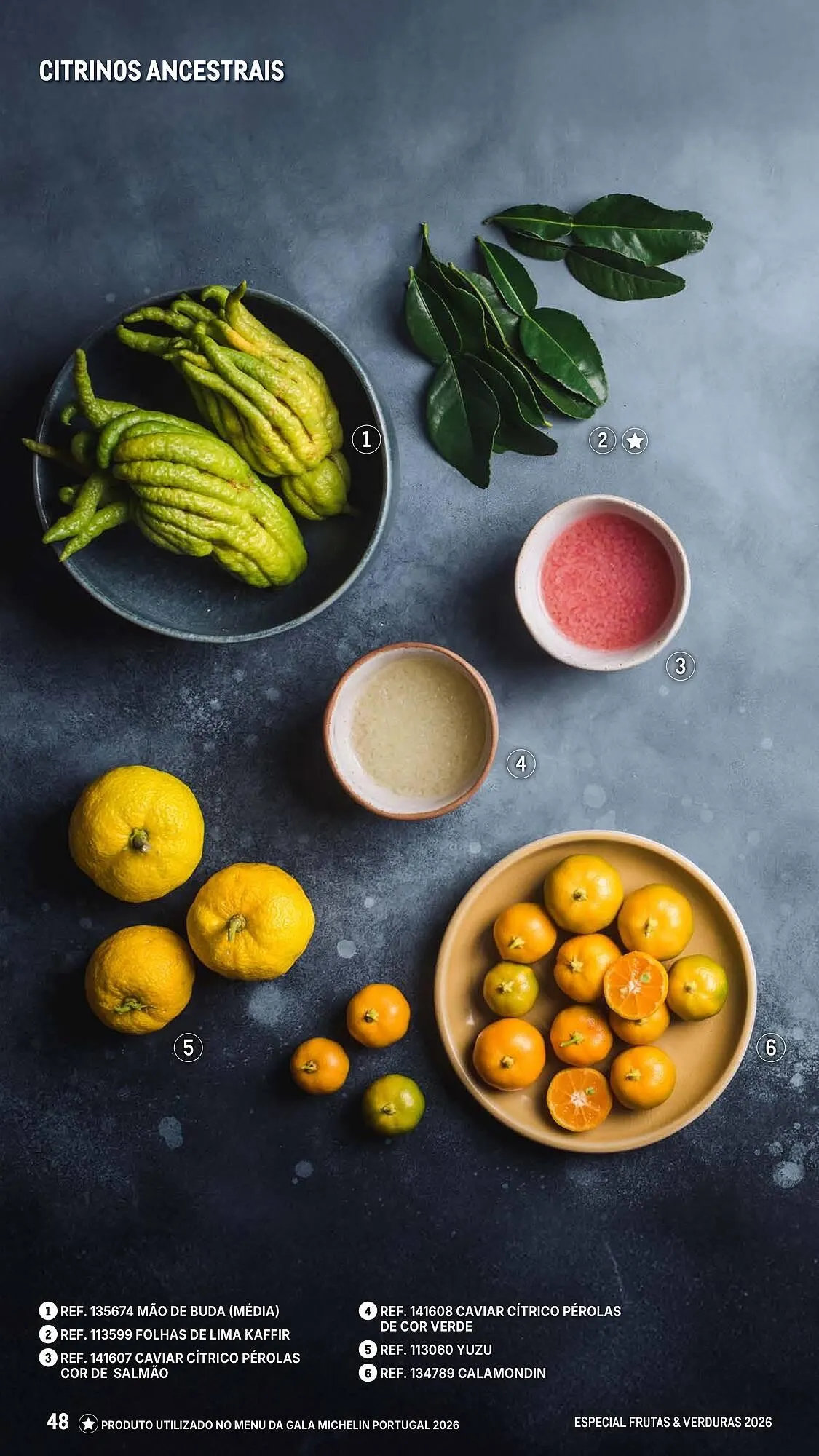 Folheto Catálogo Makro de 6 de março até 25 de abril 2026 - Pagina 48