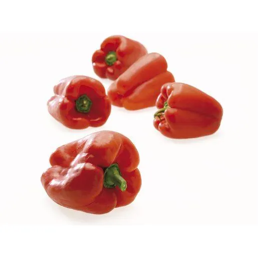 Pimento Vermelho (1 un = 295 g aprox)