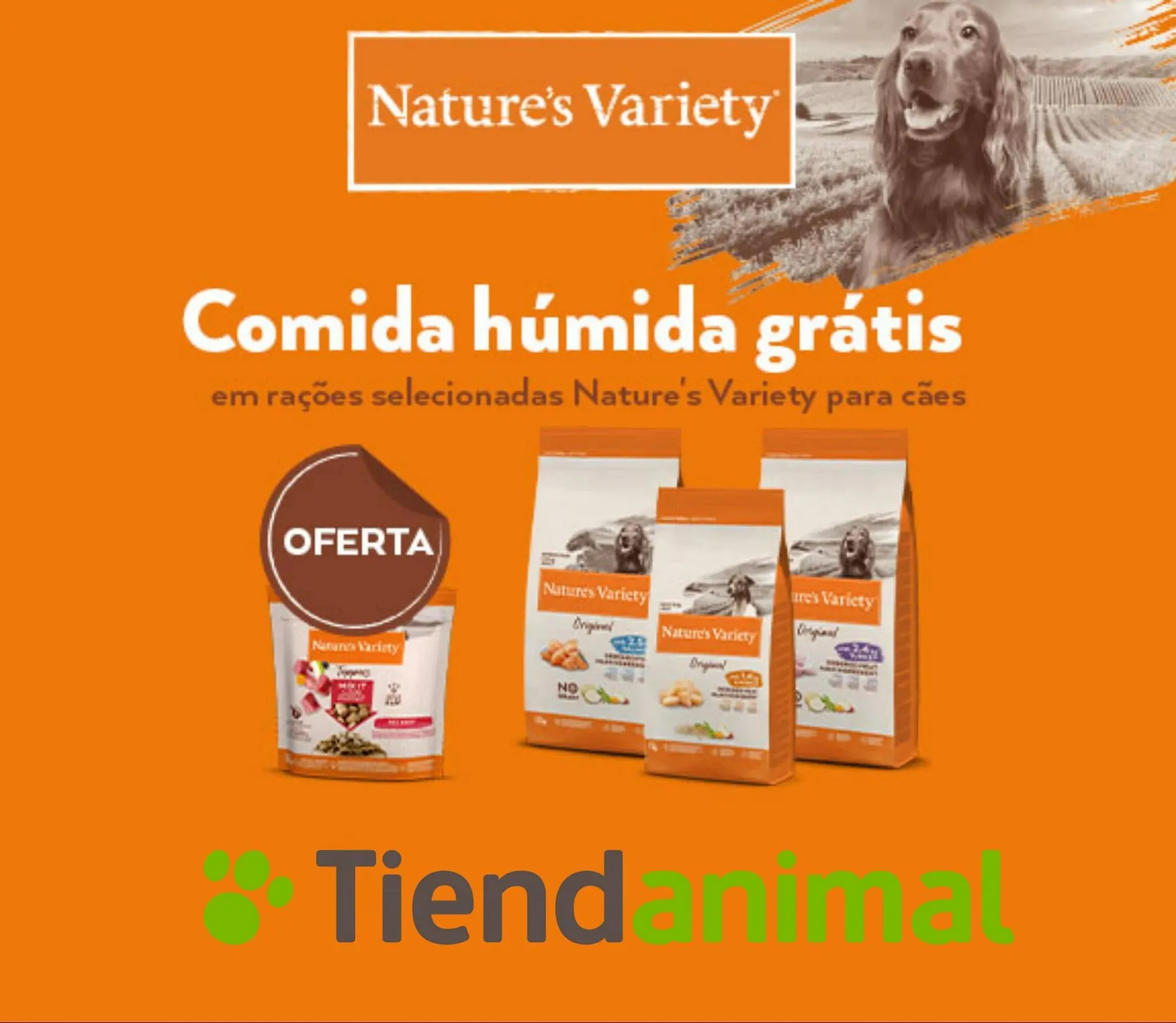 Folheto Folheto TiendAnimal de 12 de julho até 26 de julho 2023 - Pagina 1