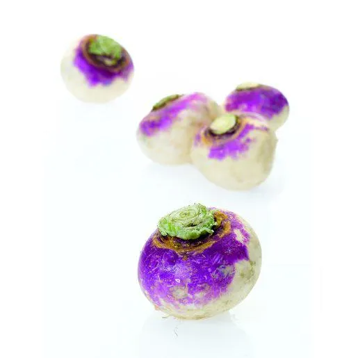 Nabo Sem Rama (1 un = 270 g aprox)