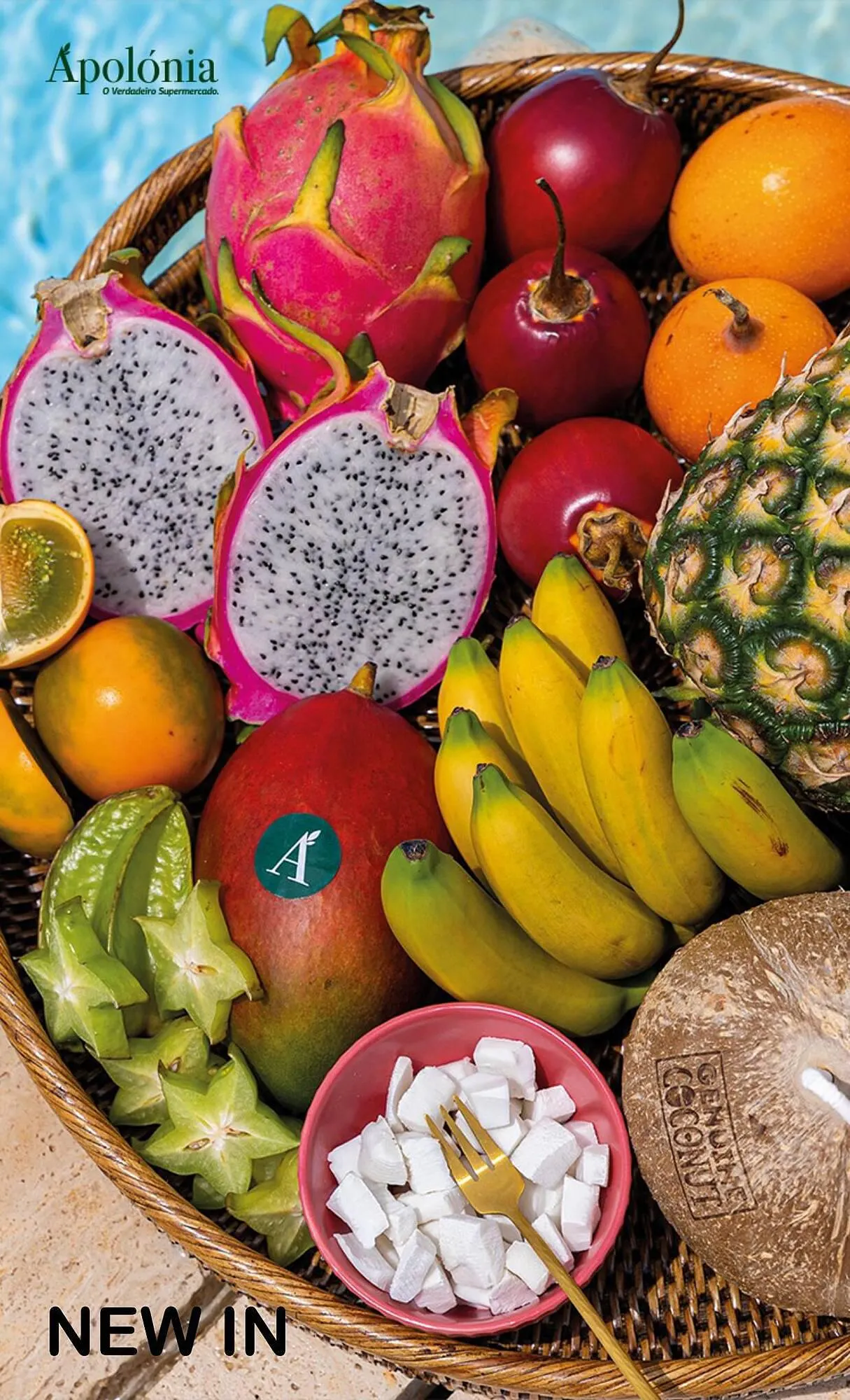 Folheto Apolónia - 1