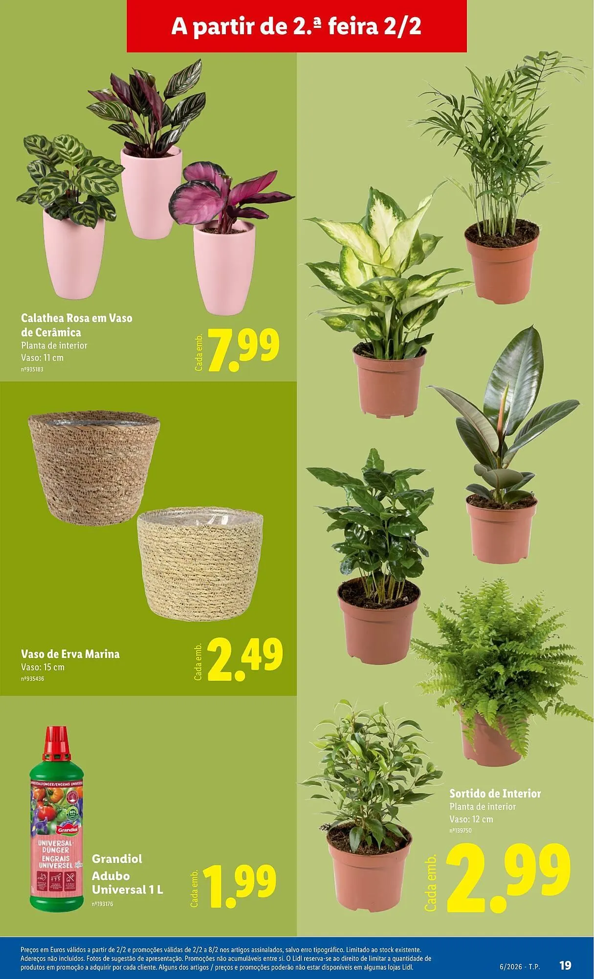 Folheto Folheto Lidl de 2 de fevereiro até 8 de fevereiro 2026 - Pagina 19