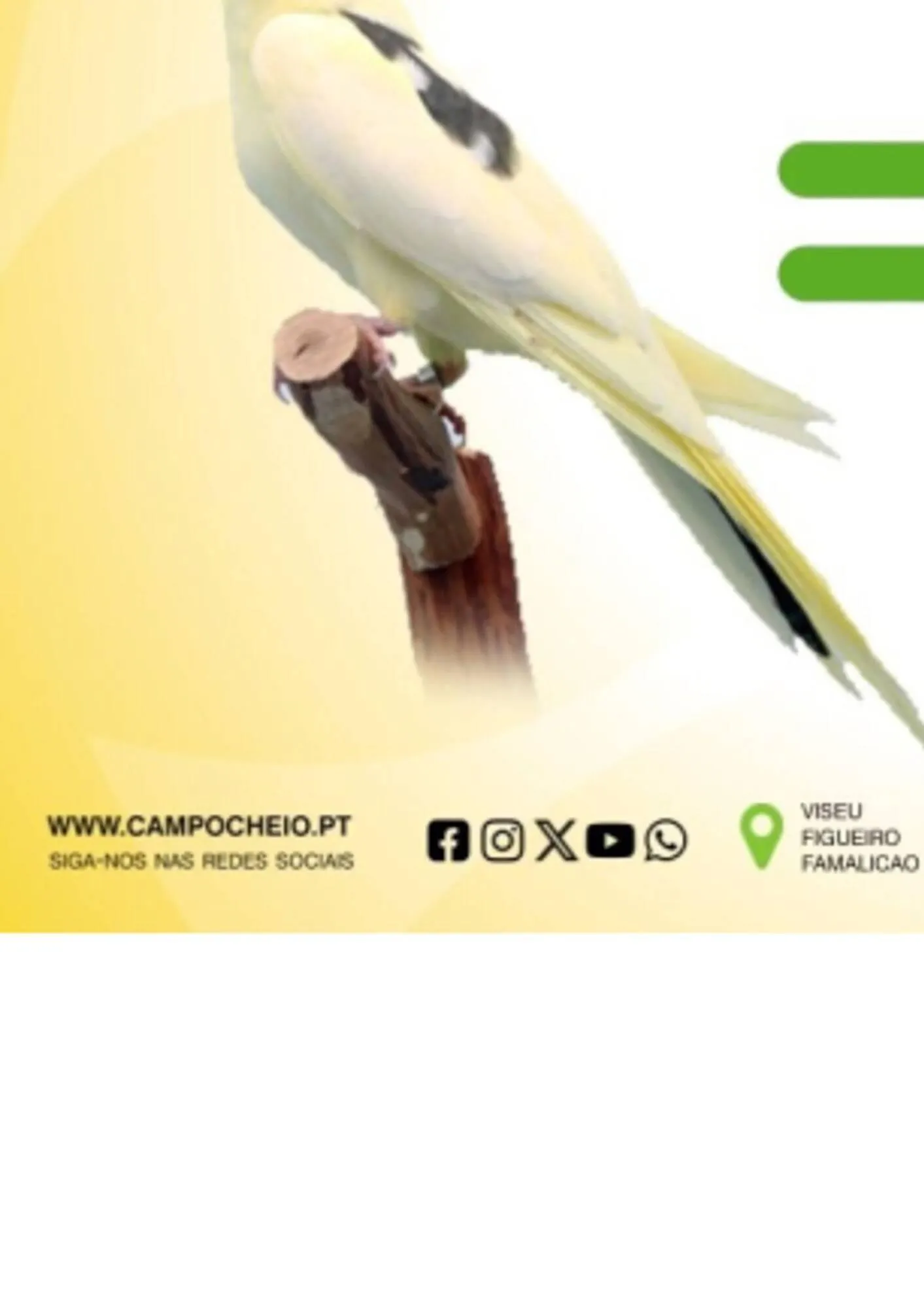 Folheto Folheto CAMPOCHEIO de 13 de outubro até 22 de novembro 2025 - Pagina 15