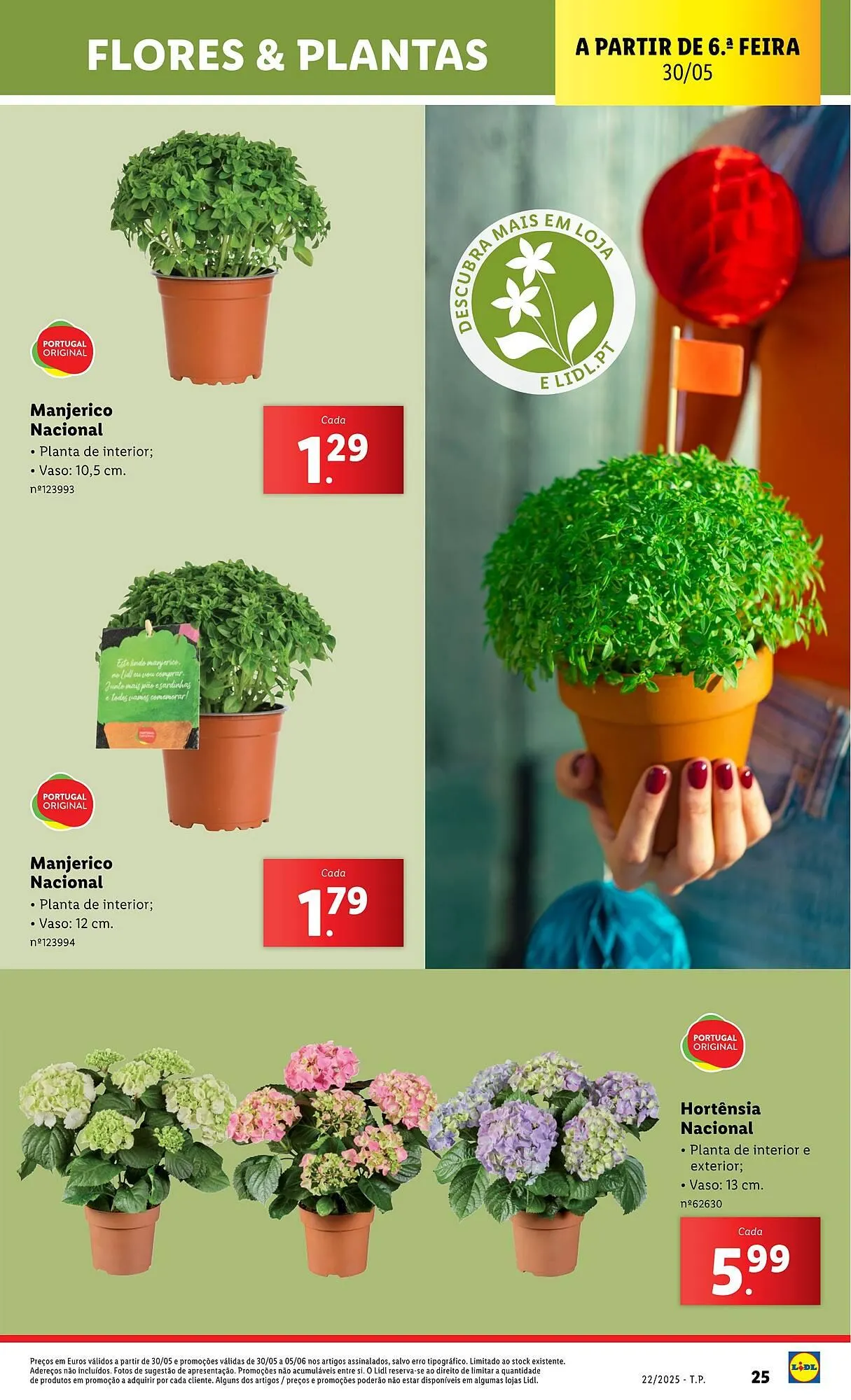 Folheto Folheto Lidl de 26 de maio até 1 de junho 2025 - Pagina 25