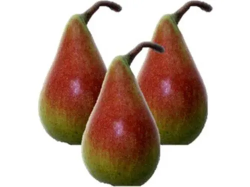 pera morettinni auchan kg