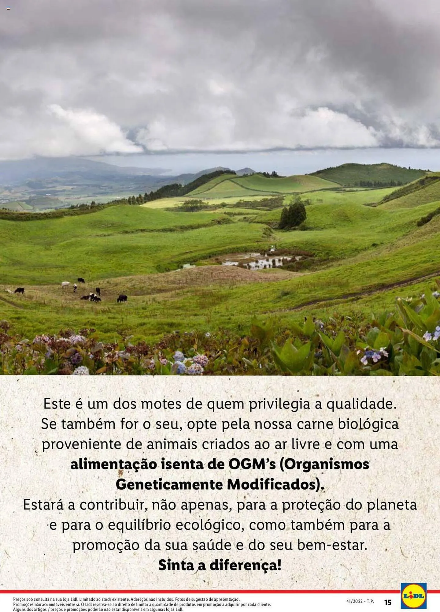 Folheto Folheto Lidl de 5 de janeiro até 1 de janeiro 2025 - Pagina 15