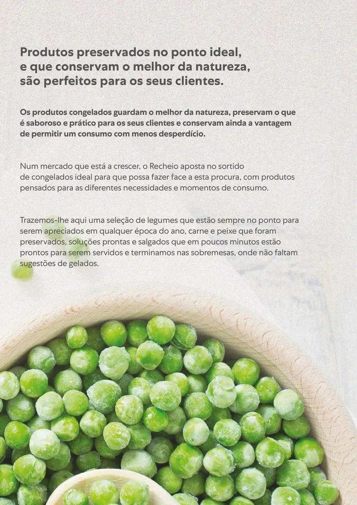 Folheto Recheio Congelados de 20 de agosto até 31 de dezembro 2024 - Pagina 3
