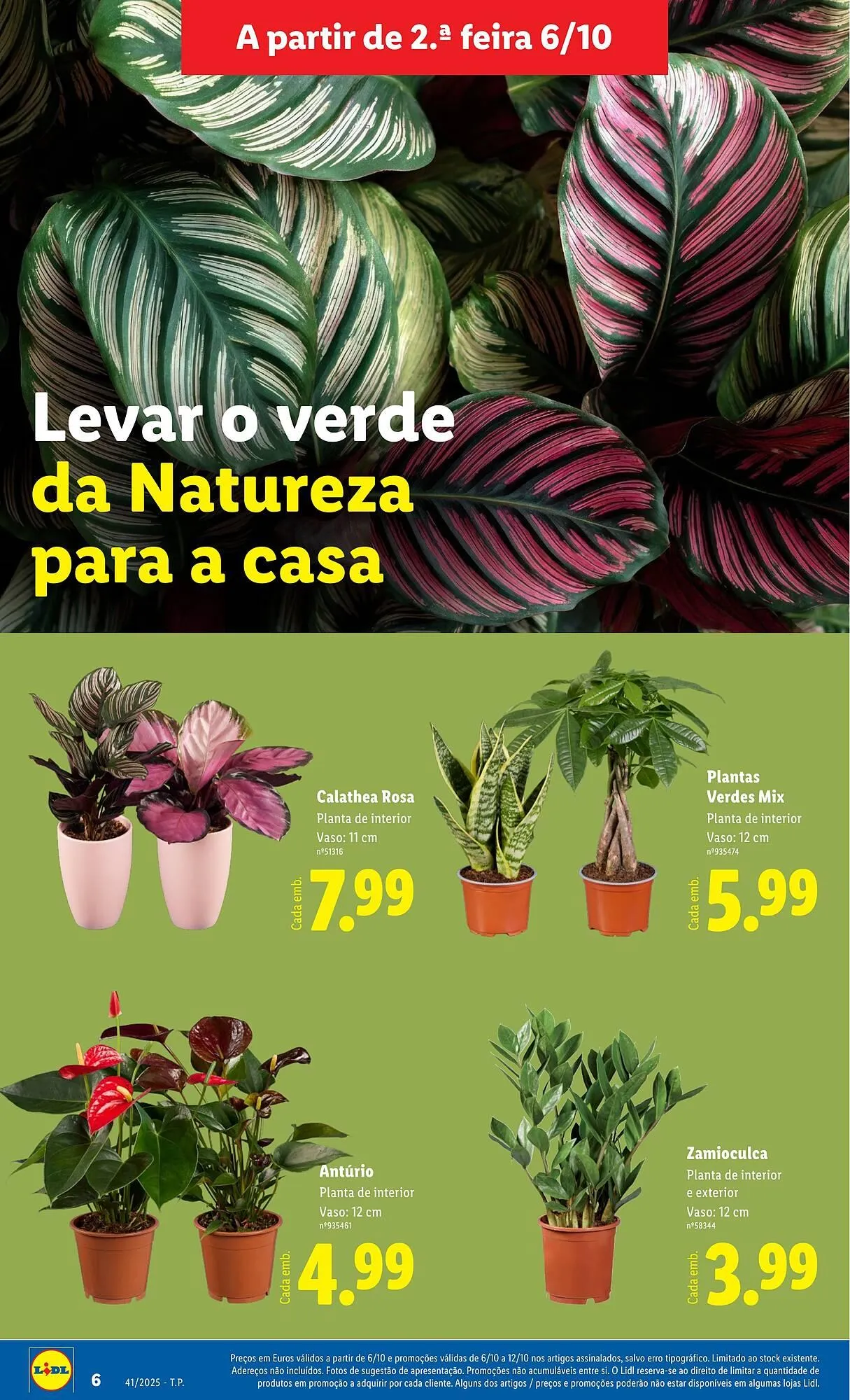 Folheto Folheto Lidl de 6 de outubro até 12 de outubro 2025 - Pagina 6