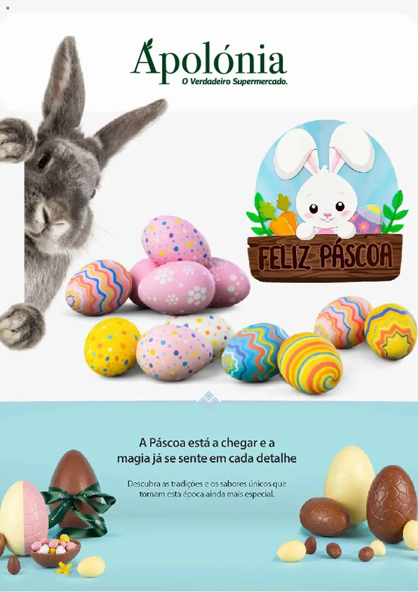 Folheto Folheto Apolónia de 8 de março até 25 de abril 2025 - Pagina 1