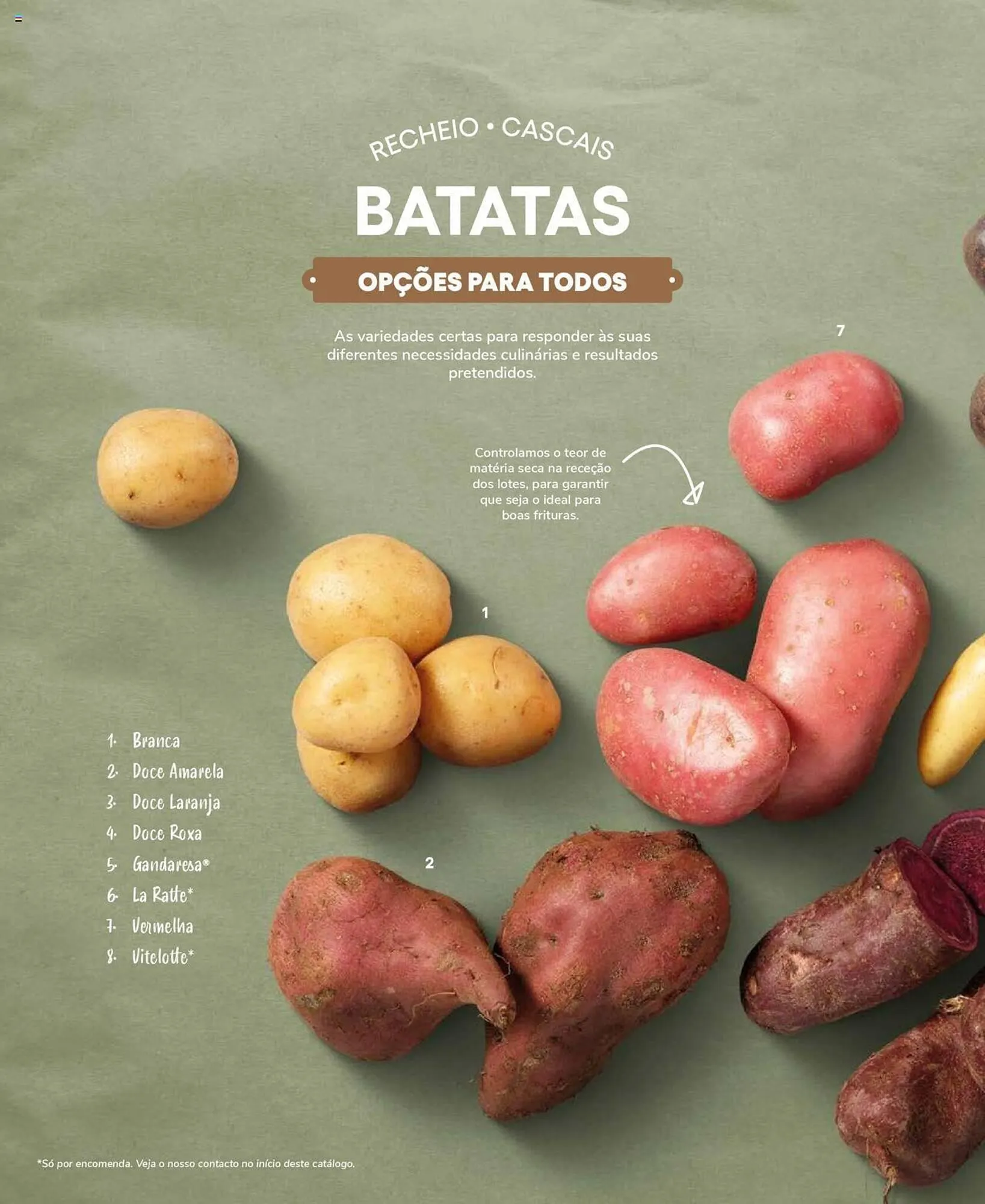 Folheto Folheto Recheio de 19 de setembro até 31 de dezembro 2025 - Pagina 24