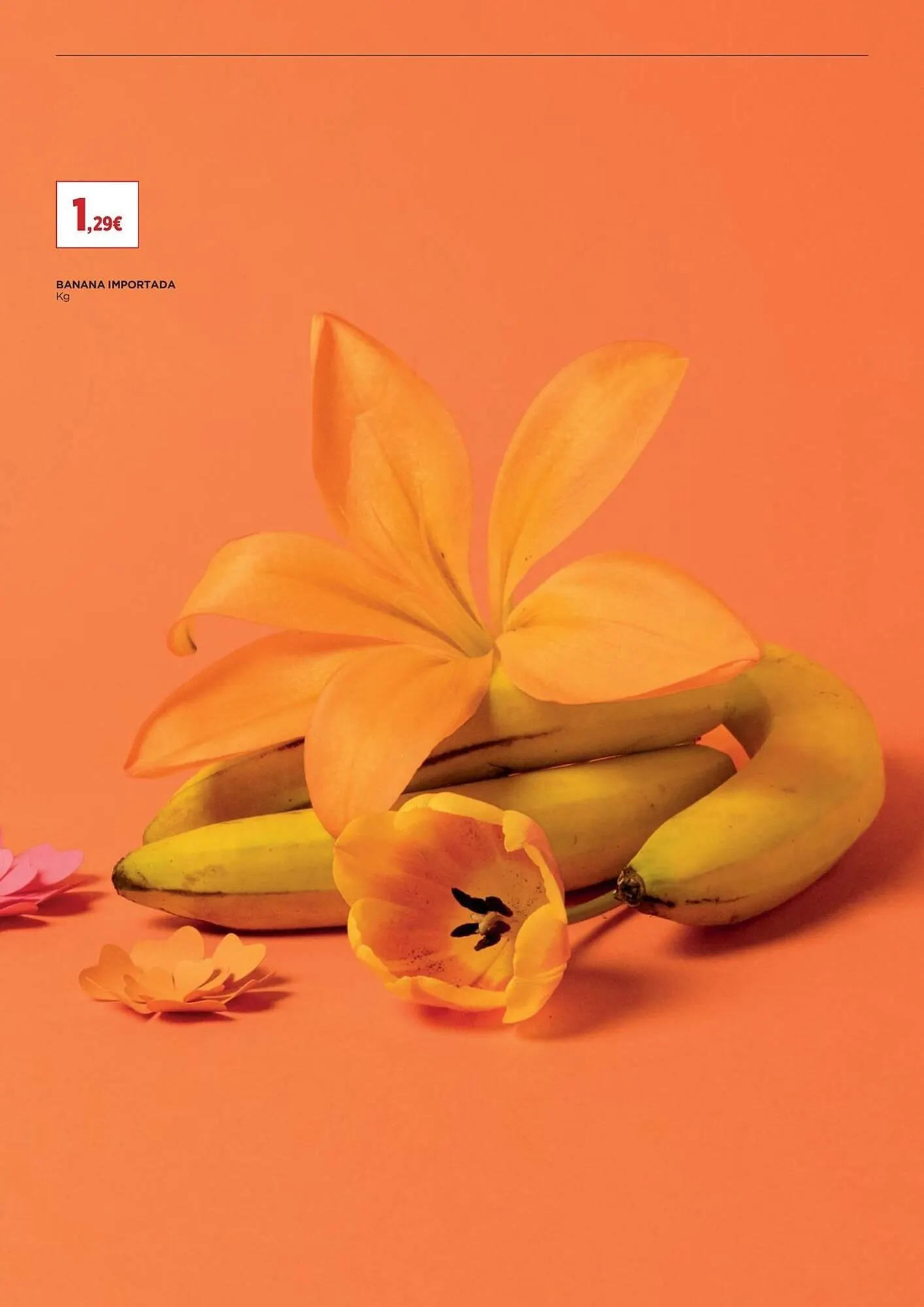 Folheto Folheto El Corte Inglés de 9 de maio até 22 de maio 2025 - Pagina 23