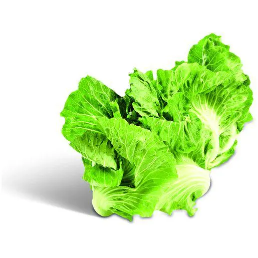 Couve Portuguesa (1 un = 800 g aprox)