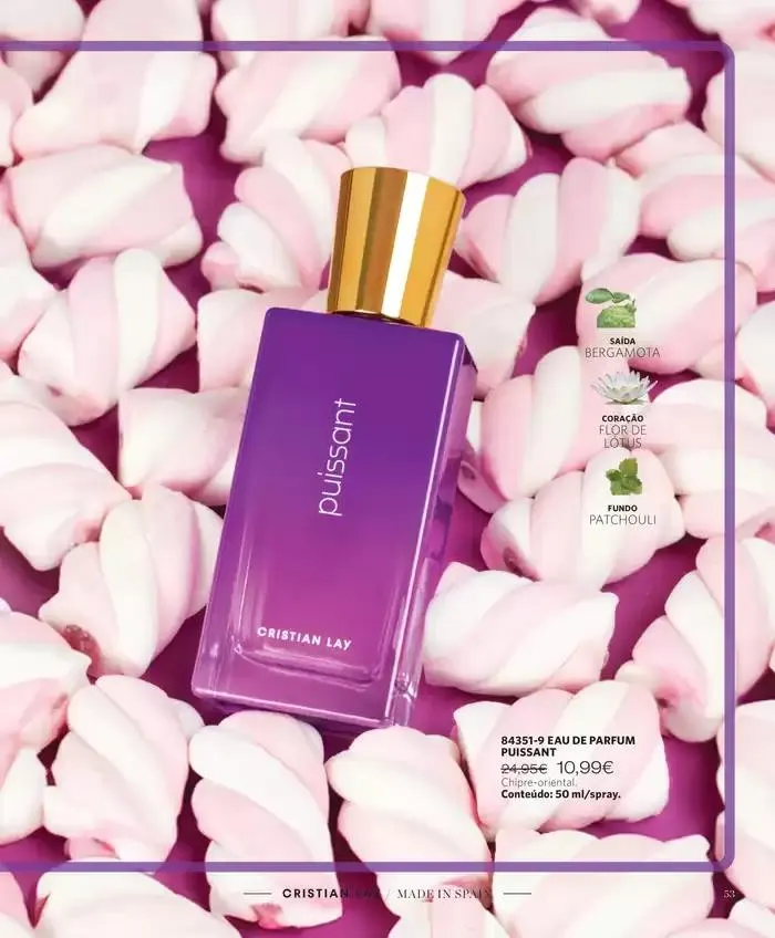 Folheto Folheto Cristian Lay de 20 de janeiro até 9 de fevereiro 2025 - Pagina 51