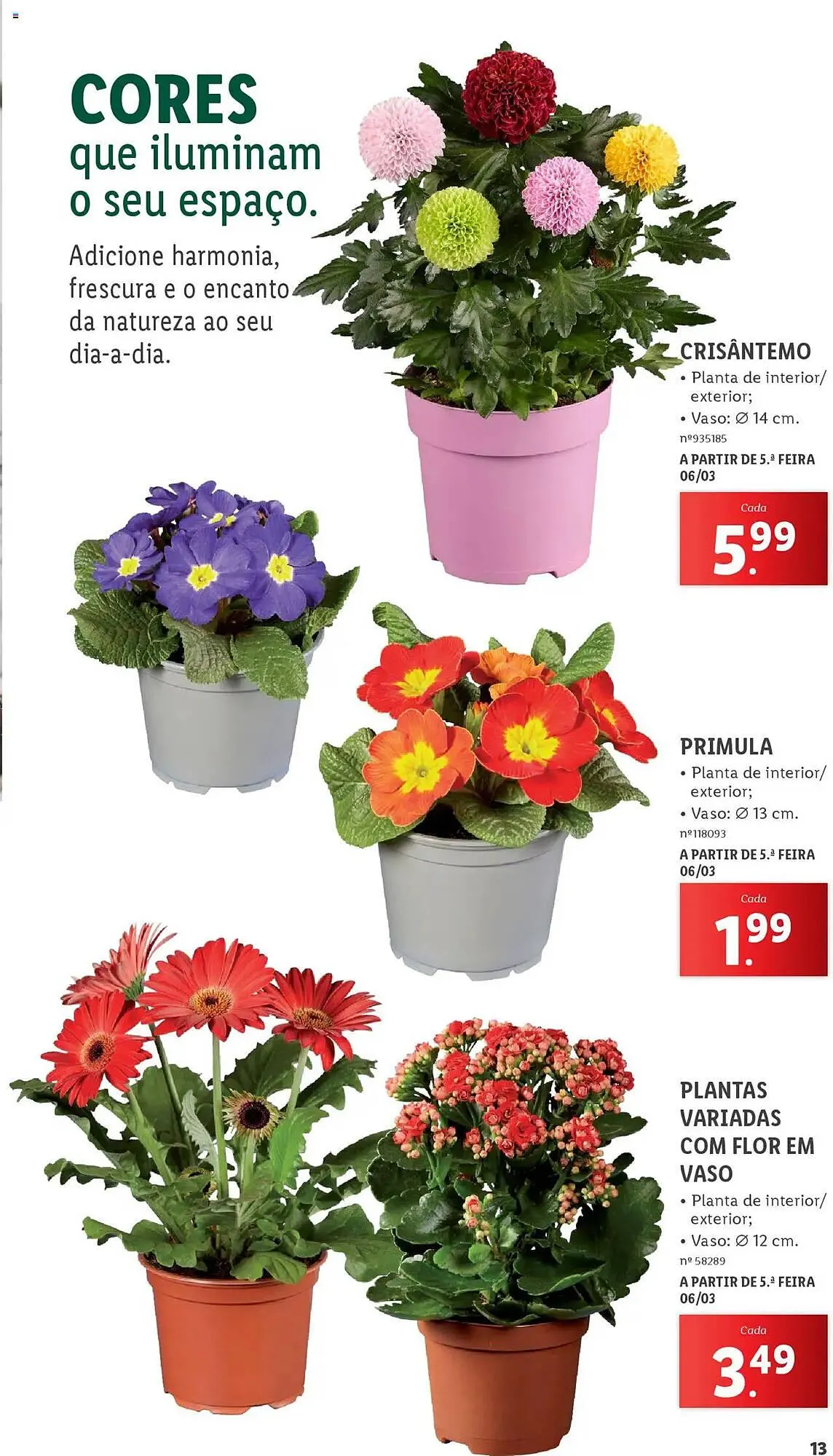 Folheto Folheto Lidl de 3 de março até 31 de maio 2025 - Pagina 13