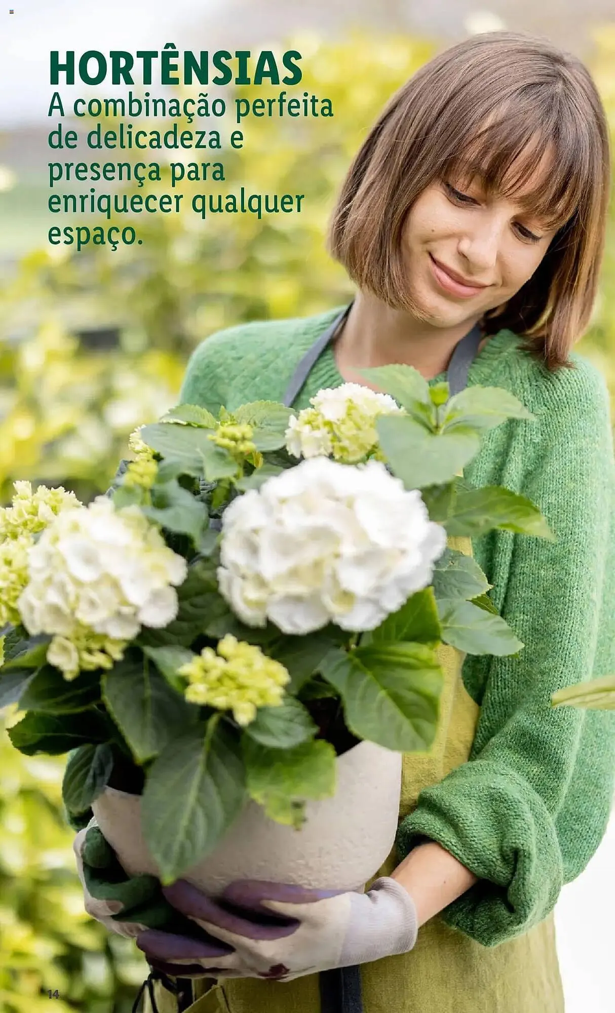 Folheto Folheto Lidl de 3 de março até 31 de maio 2025 - Pagina 14