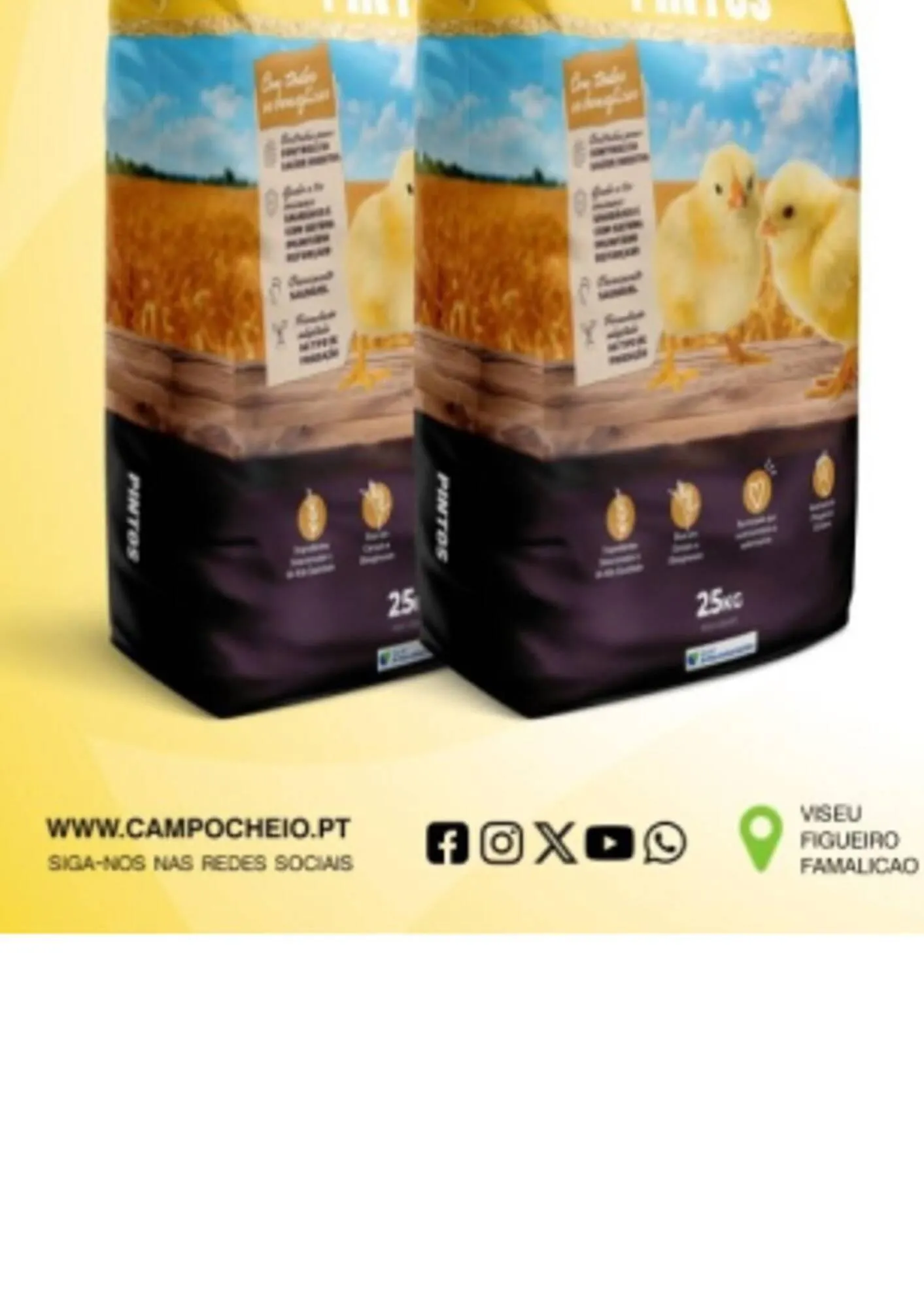 Folheto Folheto CAMPOCHEIO de 13 de outubro até 22 de novembro 2025 - Pagina 8