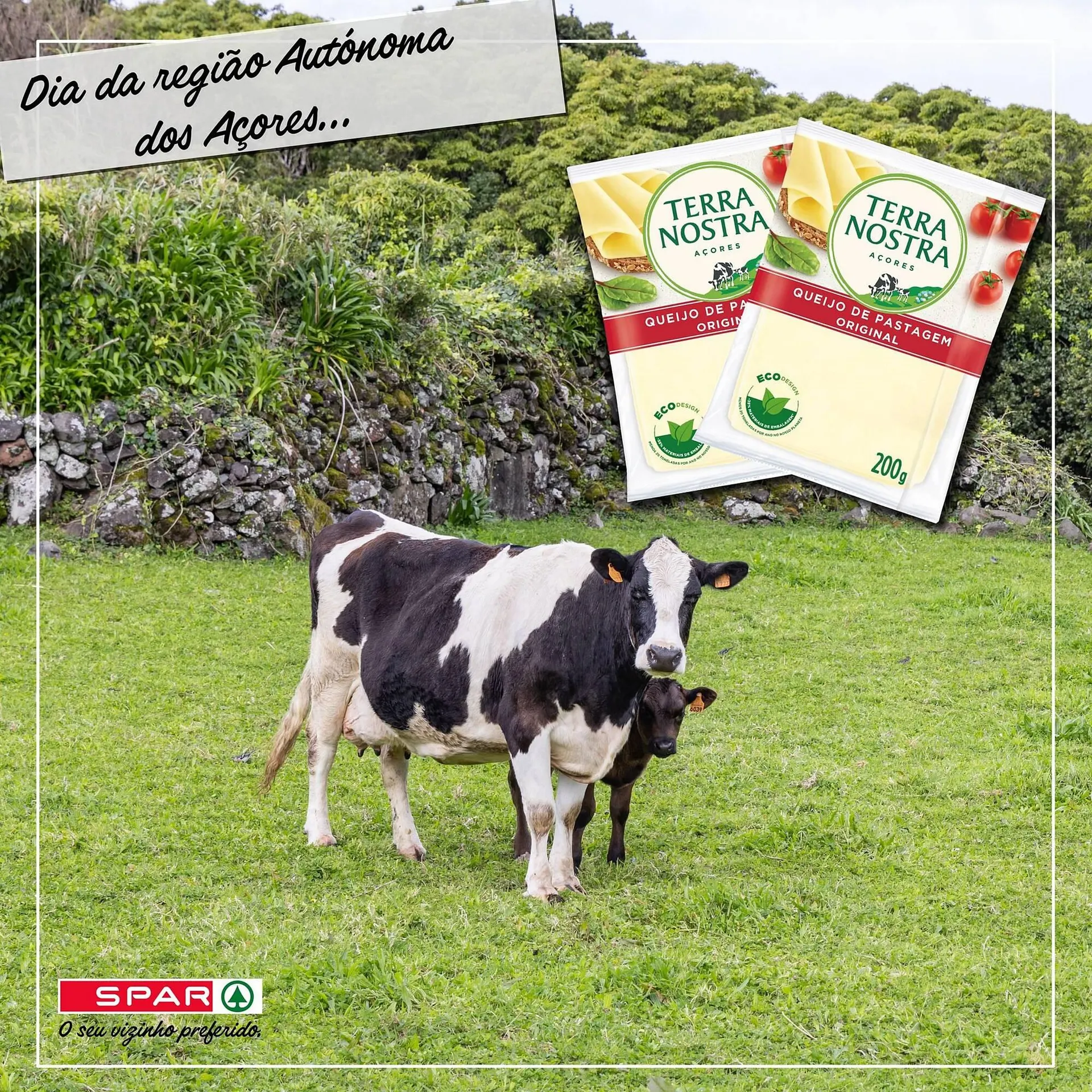 Folheto Folheto Spar de 9 de junho até 15 de junho 2025 - Pagina 3