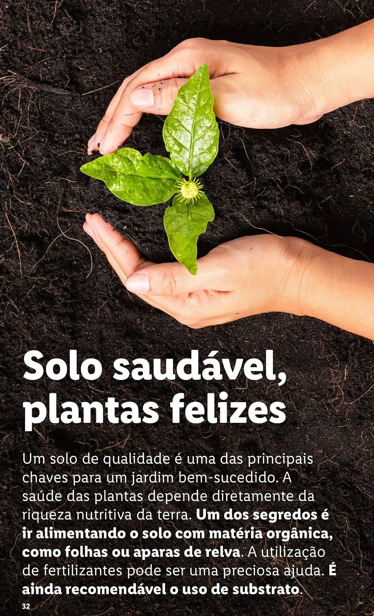 Folheto Folheto Lidl de 4 de março até 31 de março 2024 - Pagina 32