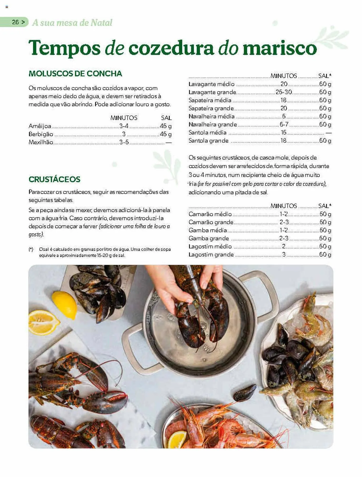 Folheto Folheto Mercadona de 13 de dezembro até 31 de dezembro 2023 - Pagina 26