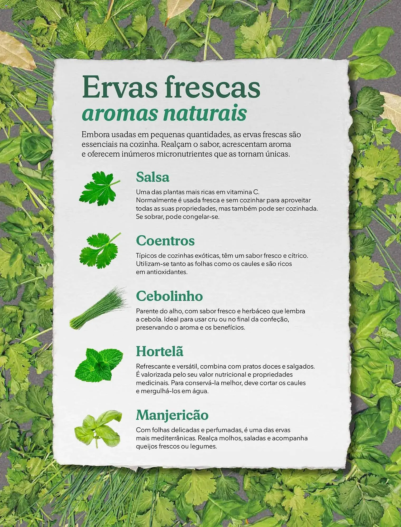 Folheto Folheto Mercadona de 2 de dezembro até 7 de janeiro 2026 - Pagina 20