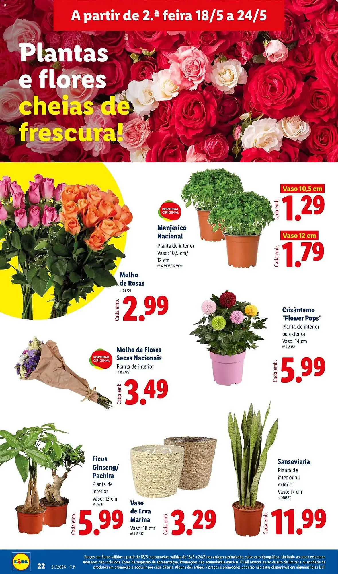 Folheto Folheto Lidl de 18 de maio até 24 de maio 2026 - Pagina 22