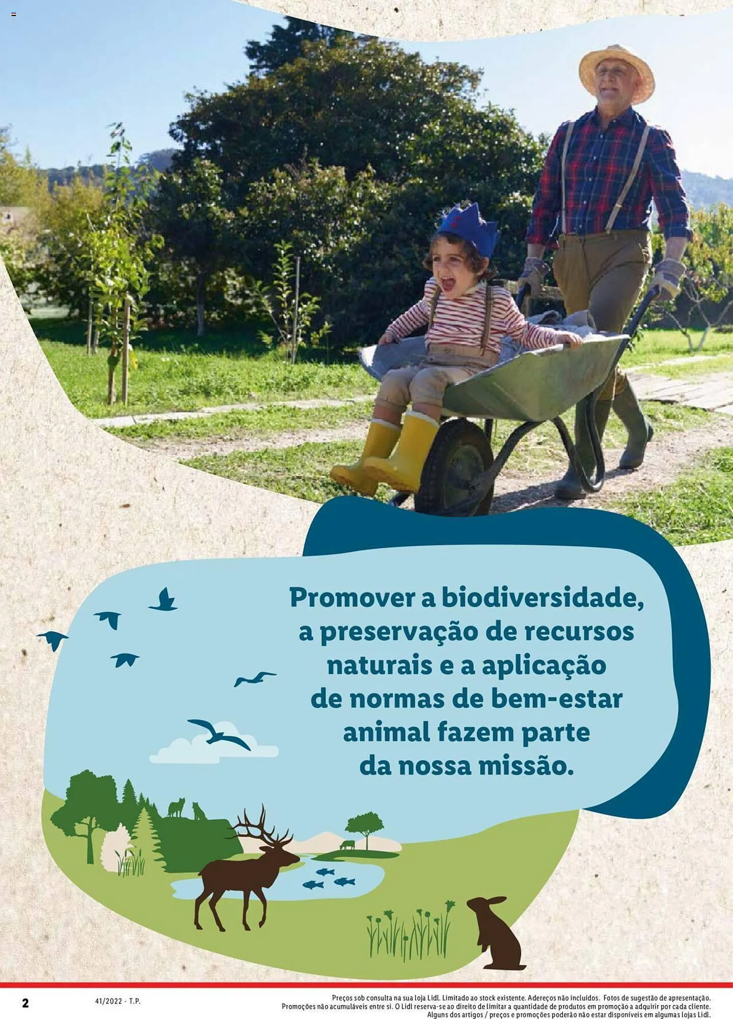 Folheto Folheto Lidl de 5 de janeiro até 1 de janeiro 2025 - Pagina 2