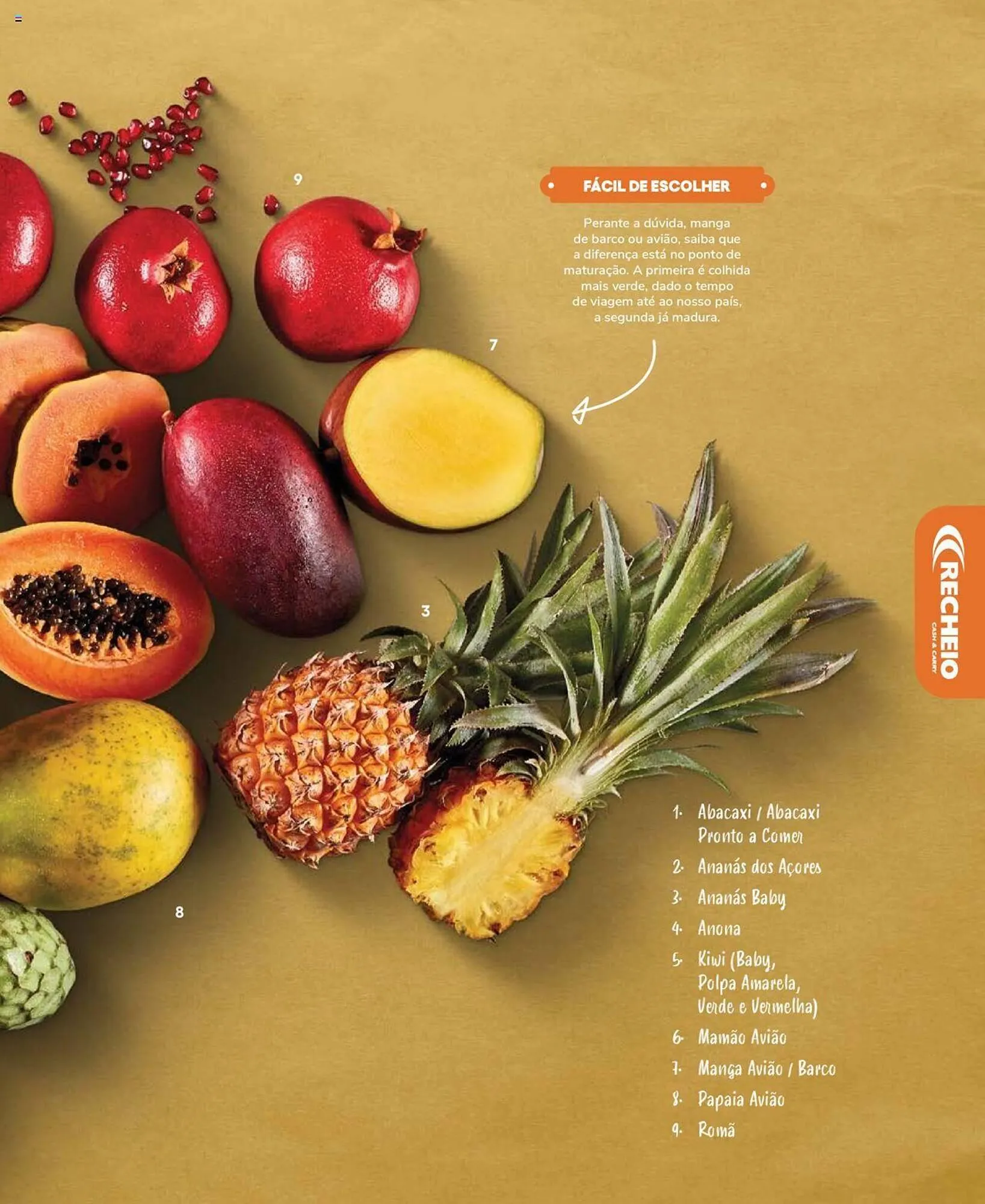 Folheto Folheto Recheio de 19 de setembro até 31 de dezembro 2025 - Pagina 81