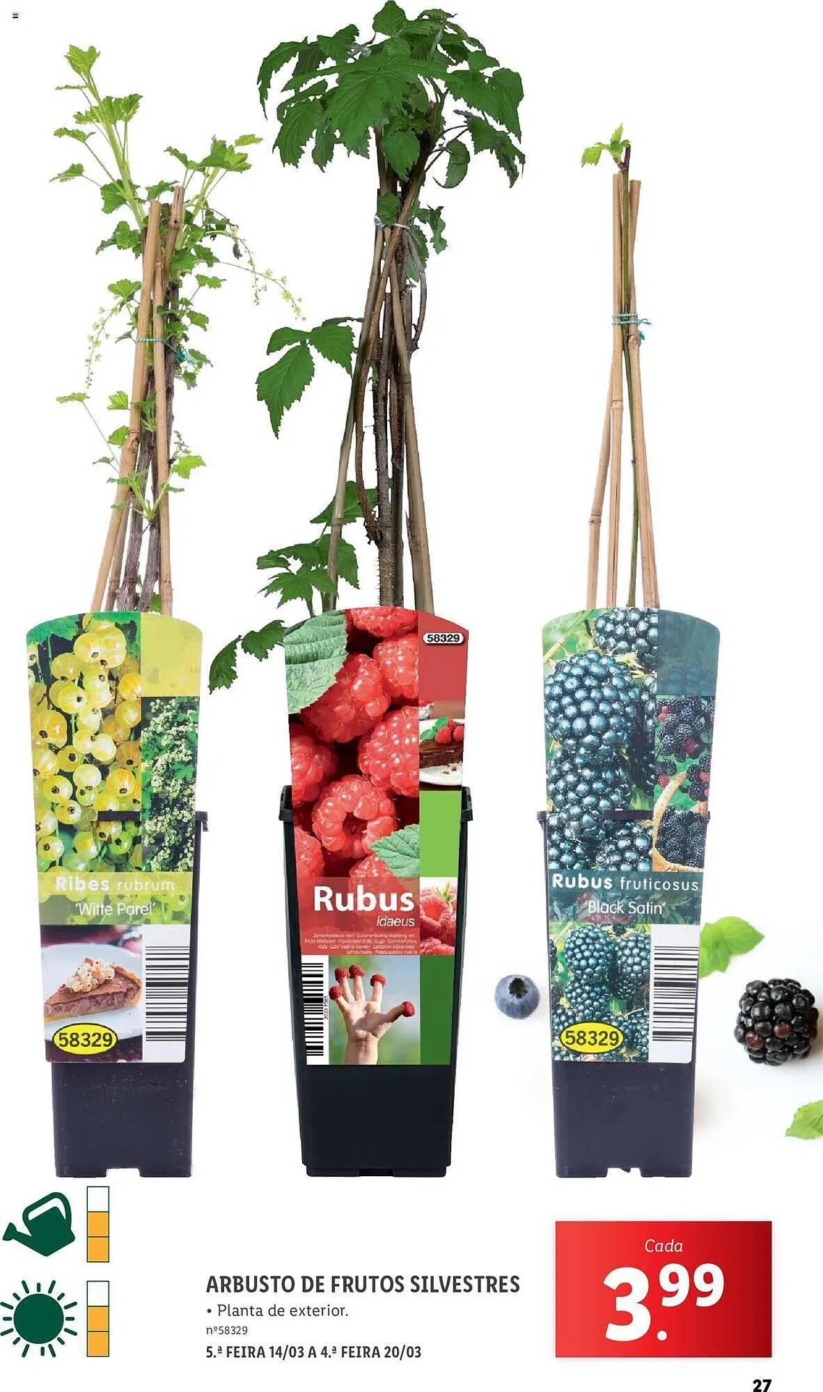 Folheto Folheto Lidl de 4 de março até 31 de março 2024 - Pagina 27