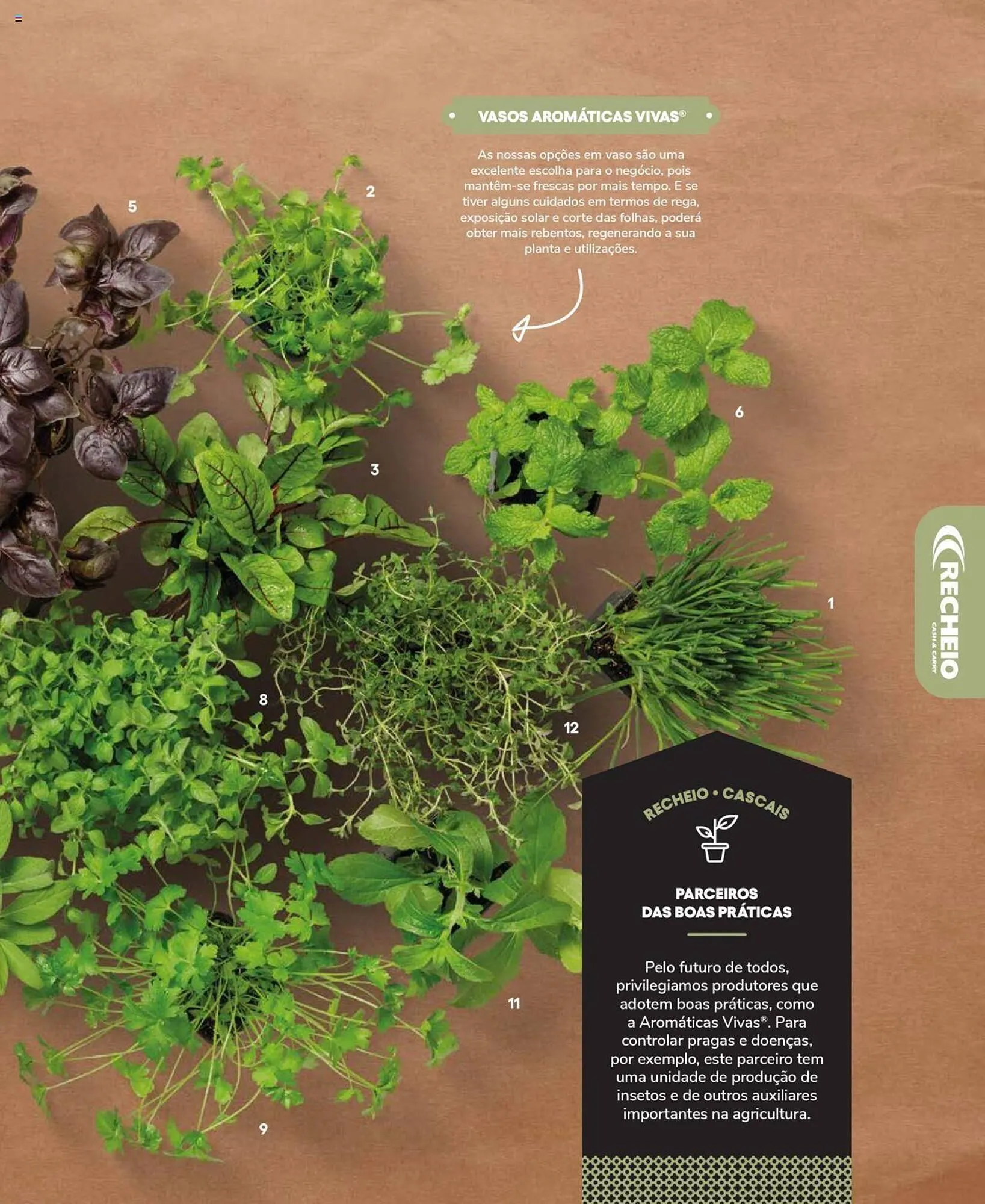 Folheto Folheto Recheio de 19 de setembro até 31 de dezembro 2025 - Pagina 59