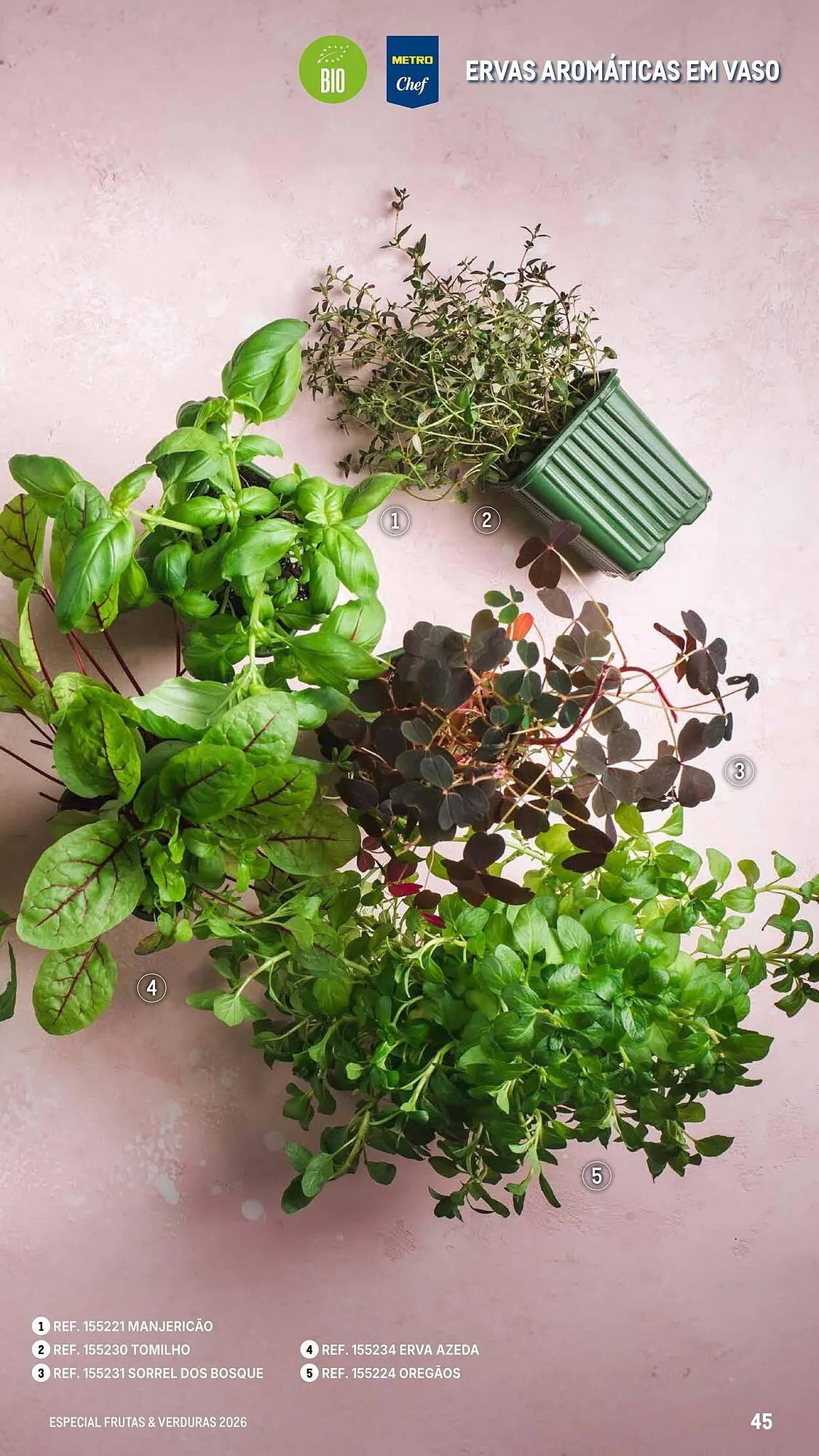 Folheto Catálogo Makro de 6 de março até 25 de abril 2026 - Pagina 45