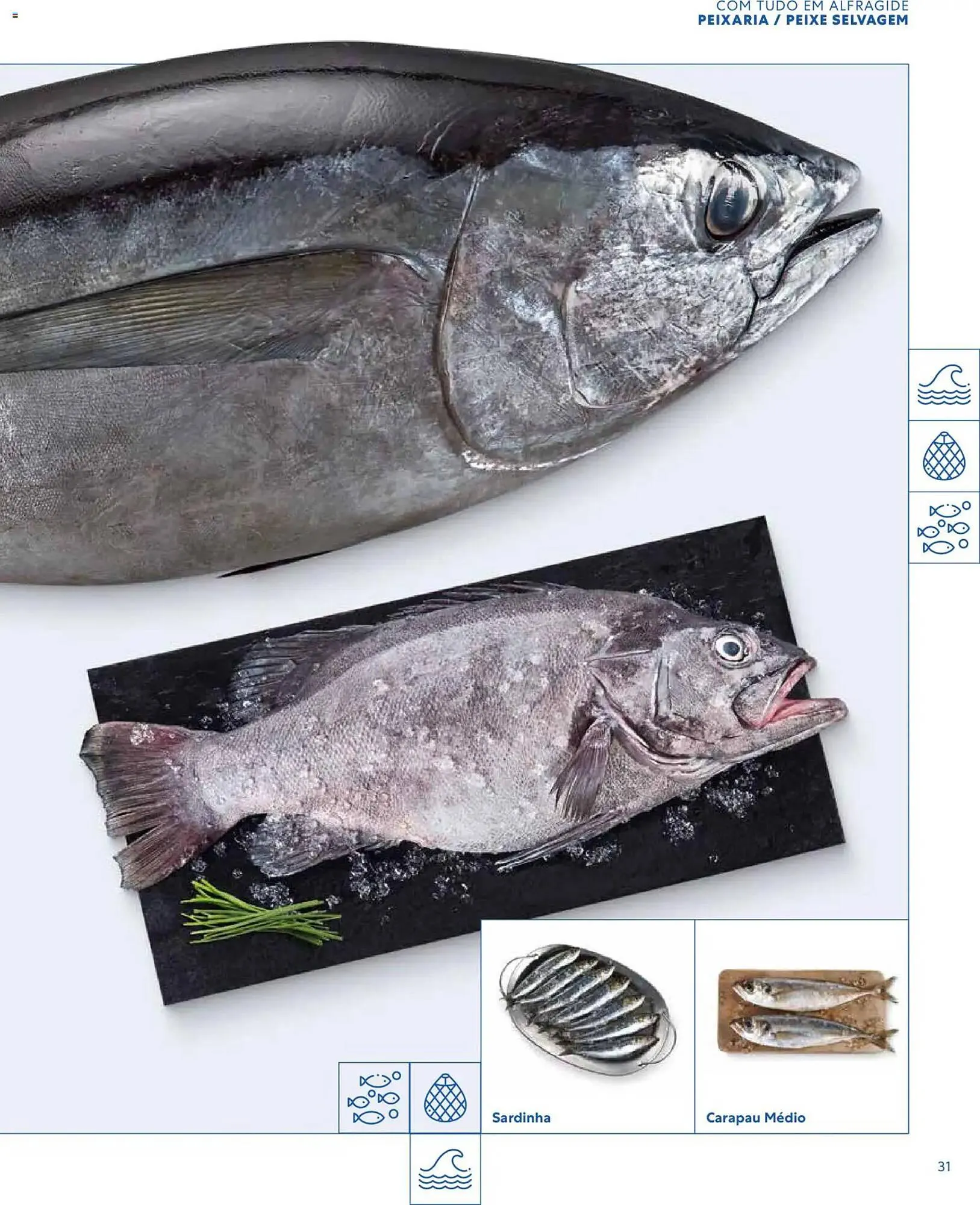 Folheto Folheto Recheio de 16 de março até 1 de janeiro 2027 - Pagina 31