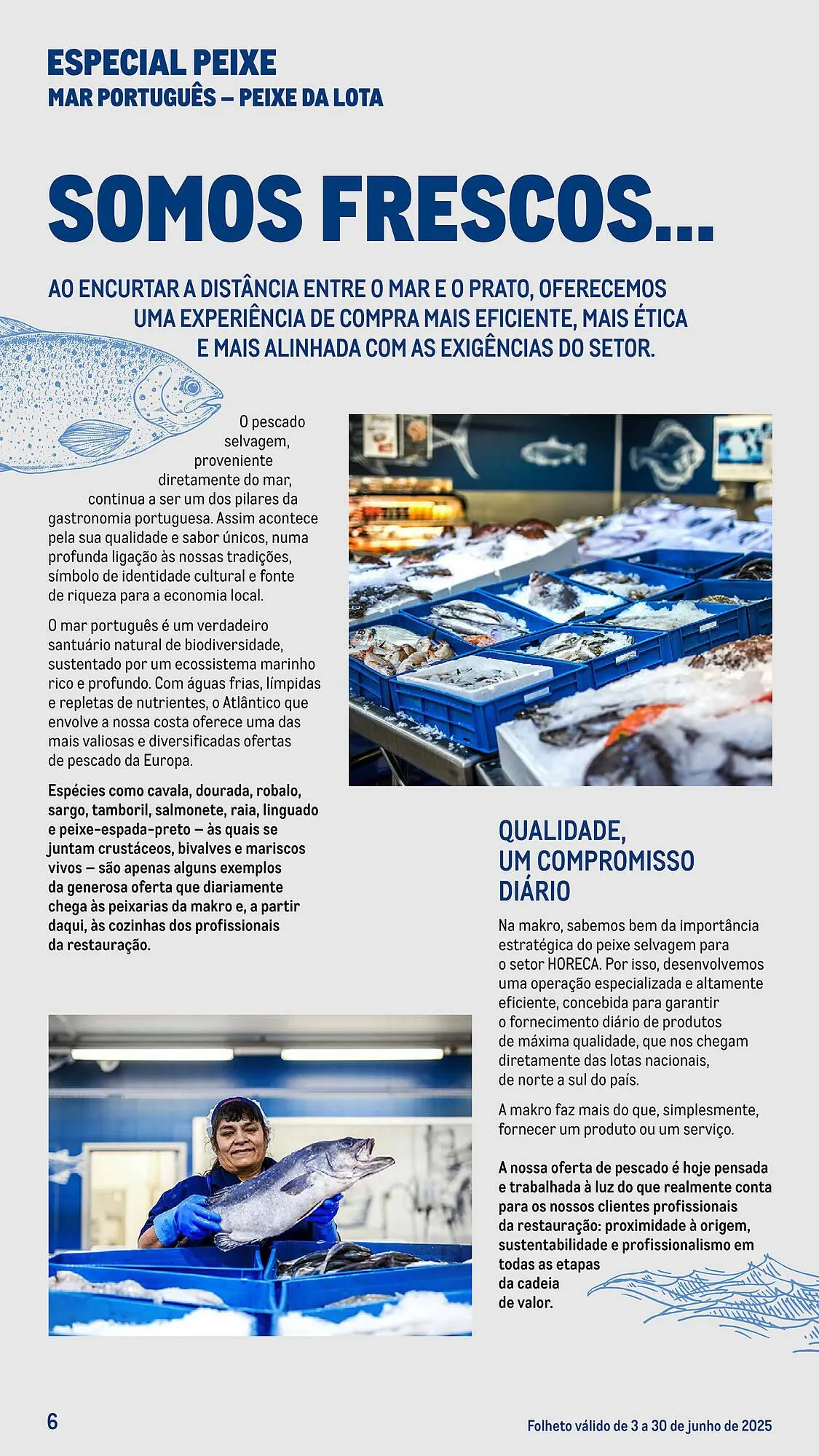 Folheto Folheto Makro de 3 de junho até 30 de junho 2025 - Pagina 6