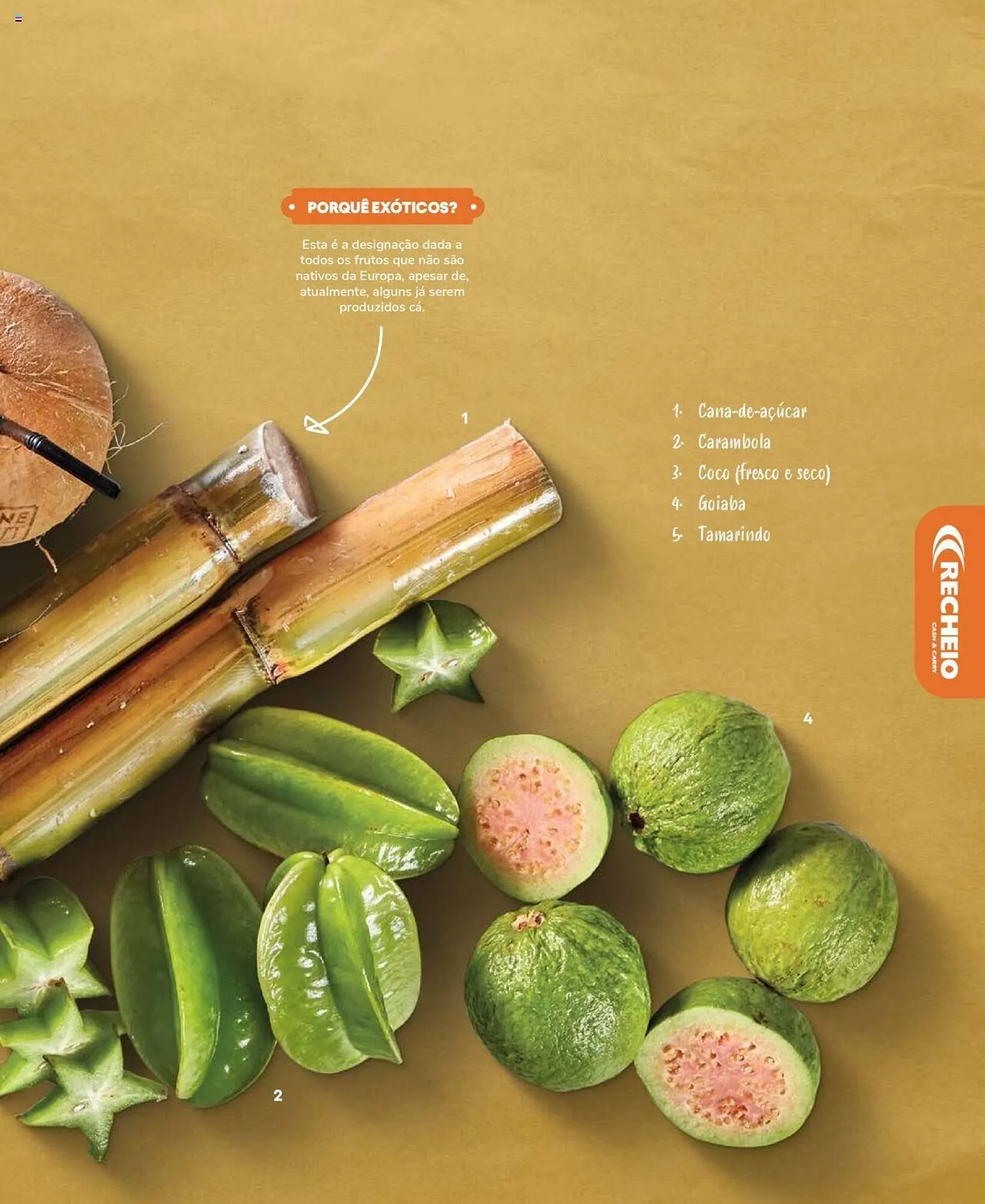 Folheto Folheto Recheio de 19 de setembro até 31 de dezembro 2025 - Pagina 87