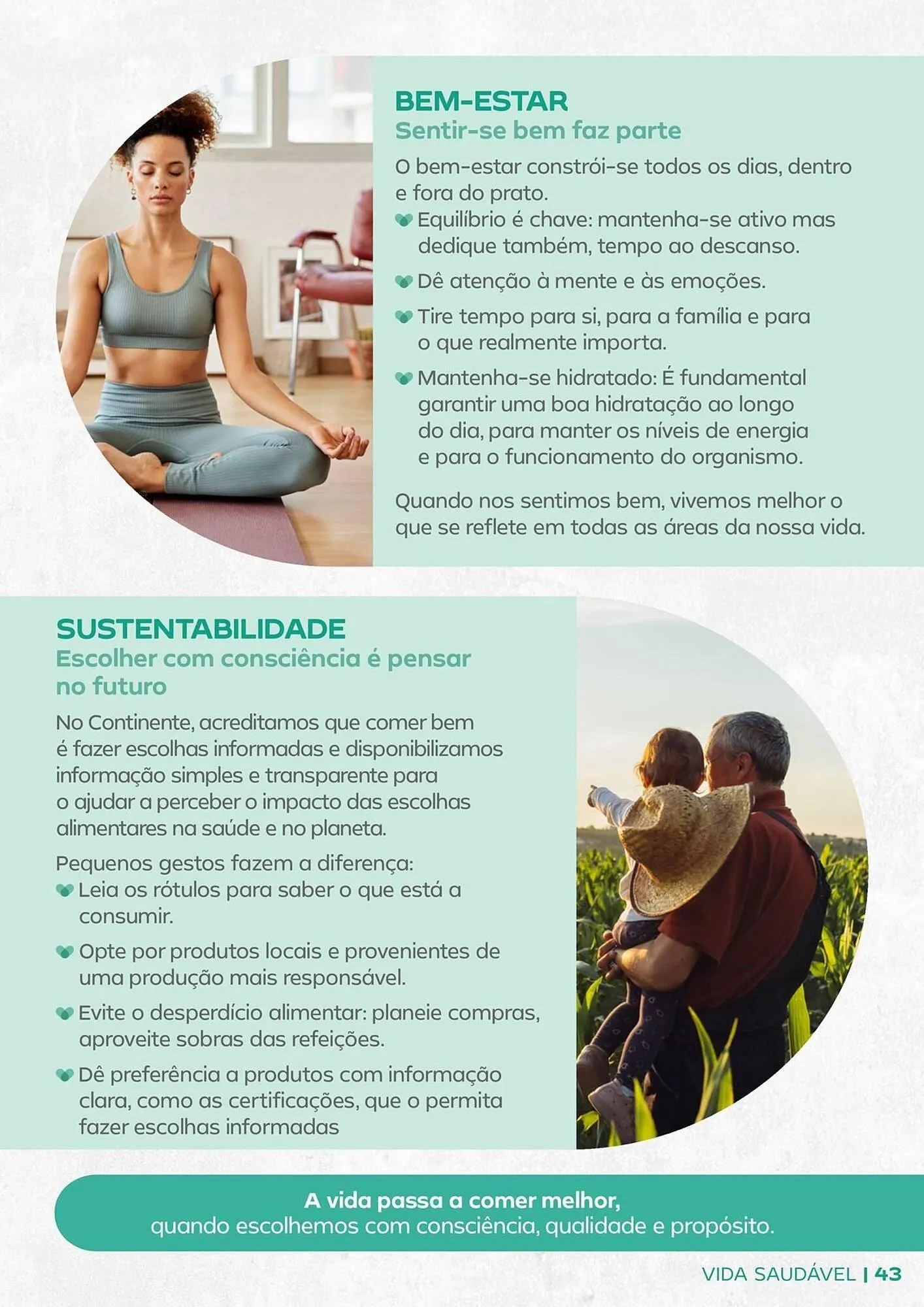 Folheto Folheto Continente de 20 de janeiro até 1 de fevereiro 2026 - Pagina 43