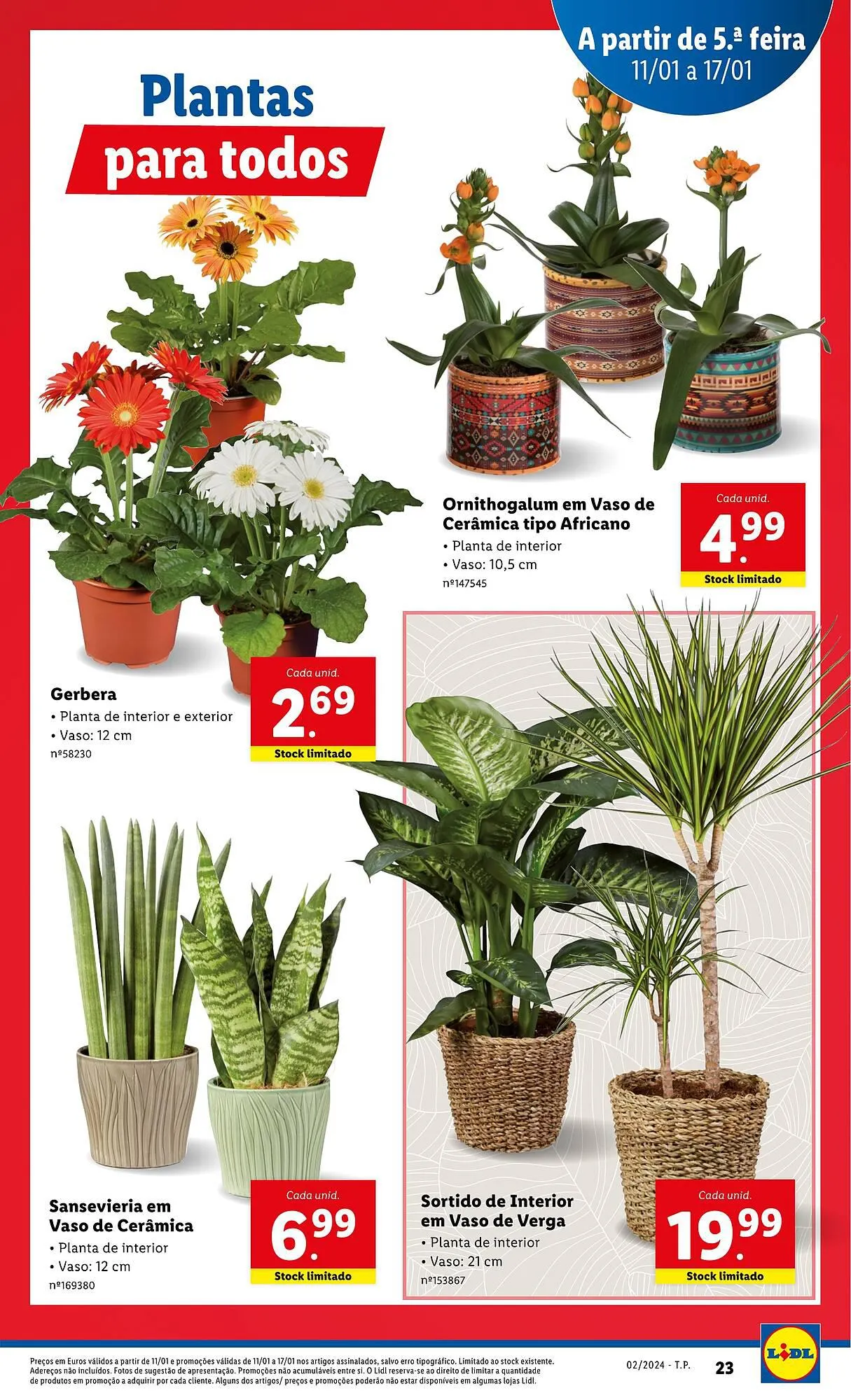 Folheto Folheto Lidl de 5 de janeiro até 1 de janeiro 2025 - Pagina 41