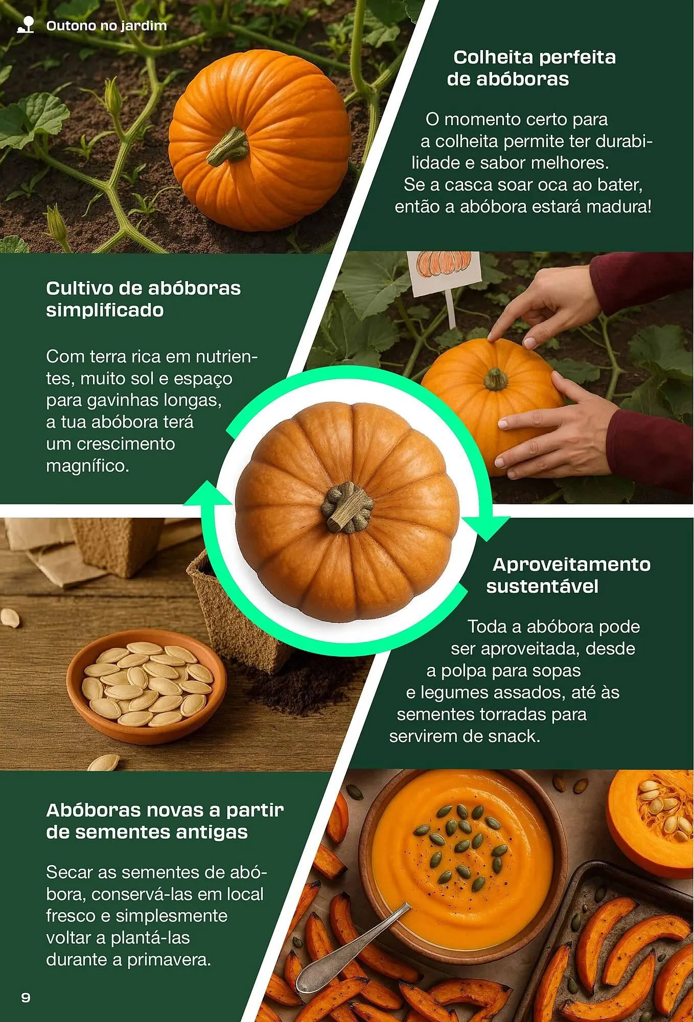 Folheto Folheto Lidl de 4 de setembro até 29 de novembro 2025 - Pagina 9