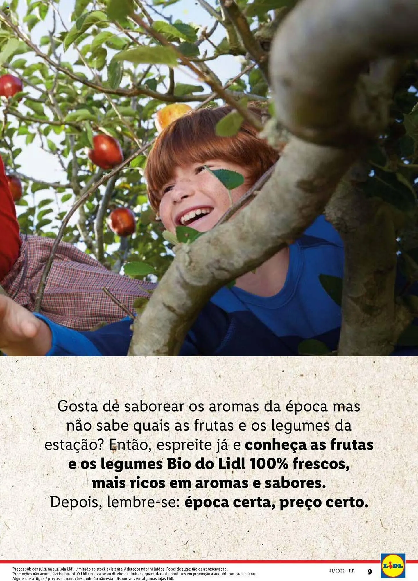 Folheto Folheto Lidl de 5 de janeiro até 1 de janeiro 2025 - Pagina 9