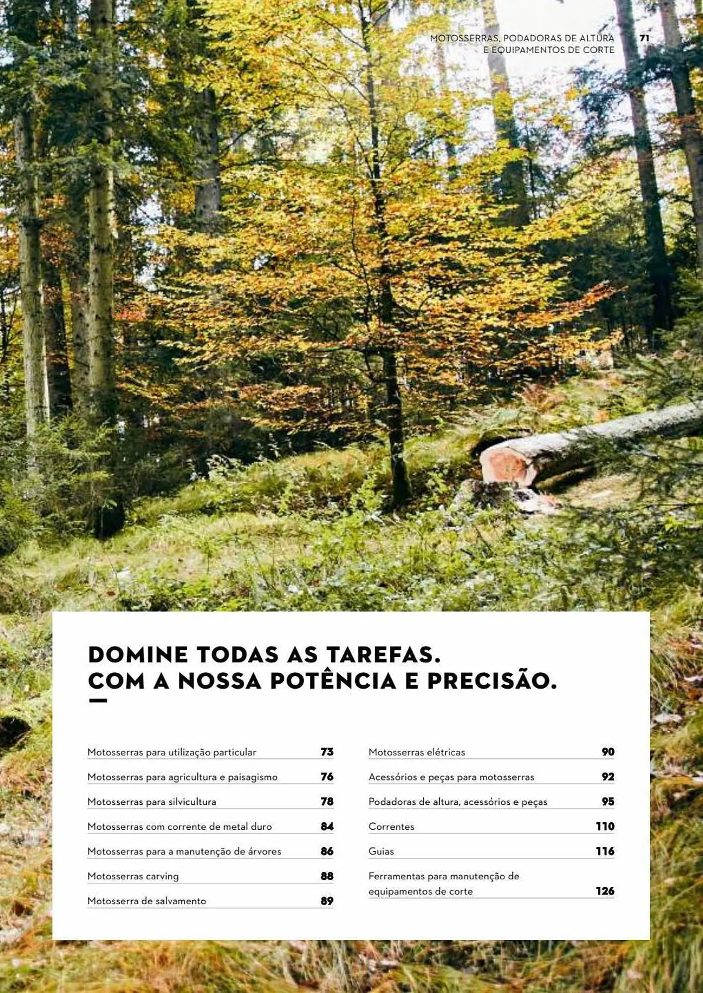 Folheto Folheto Stihl de 3 de julho até 31 de dezembro 2023 - Pagina 71