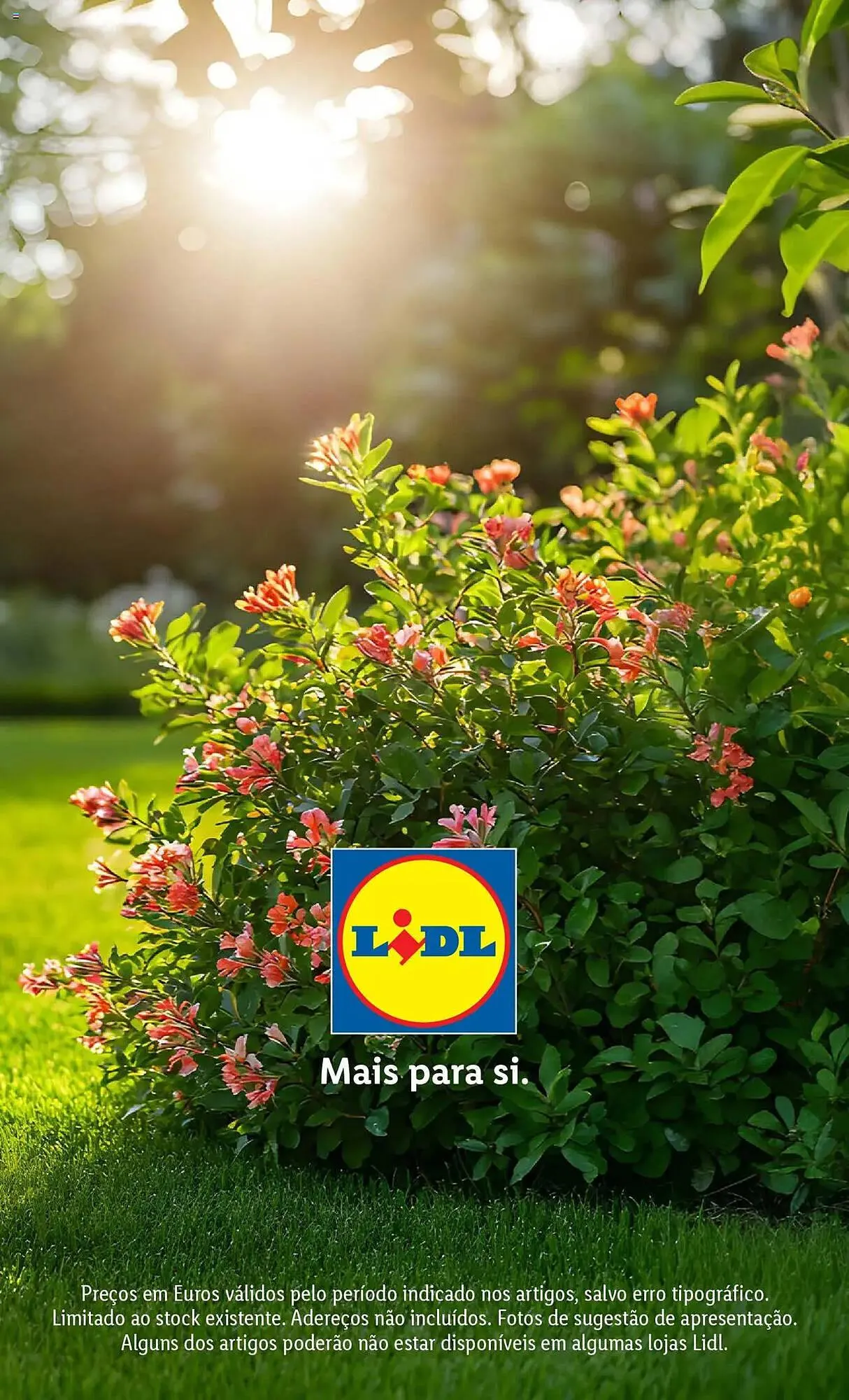 Folheto Folheto Lidl de 7 de abril até 30 de junho 2025 - Pagina 54