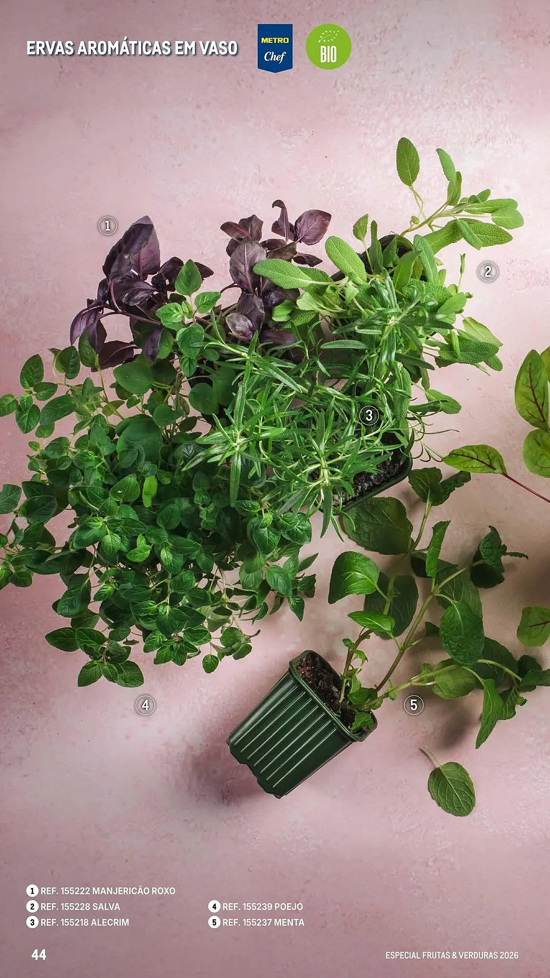 Folheto Catálogo Makro de 6 de março até 25 de abril 2026 - Pagina 44