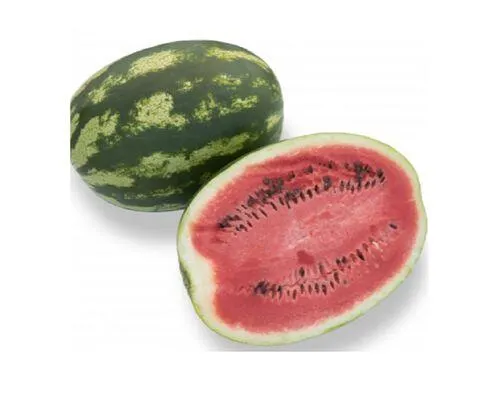 melancia alongada kg