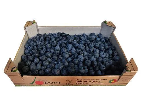 mirtilo nacional 1kg