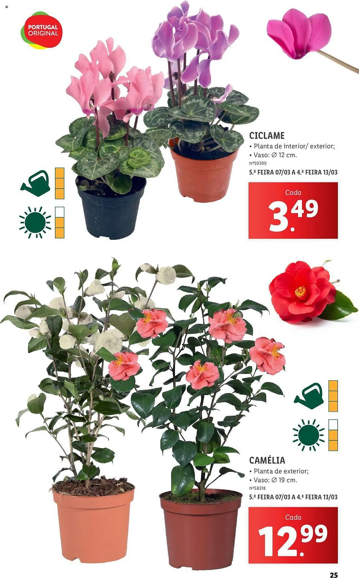 Folheto Folheto Lidl de 4 de março até 31 de março 2024 - Pagina 25