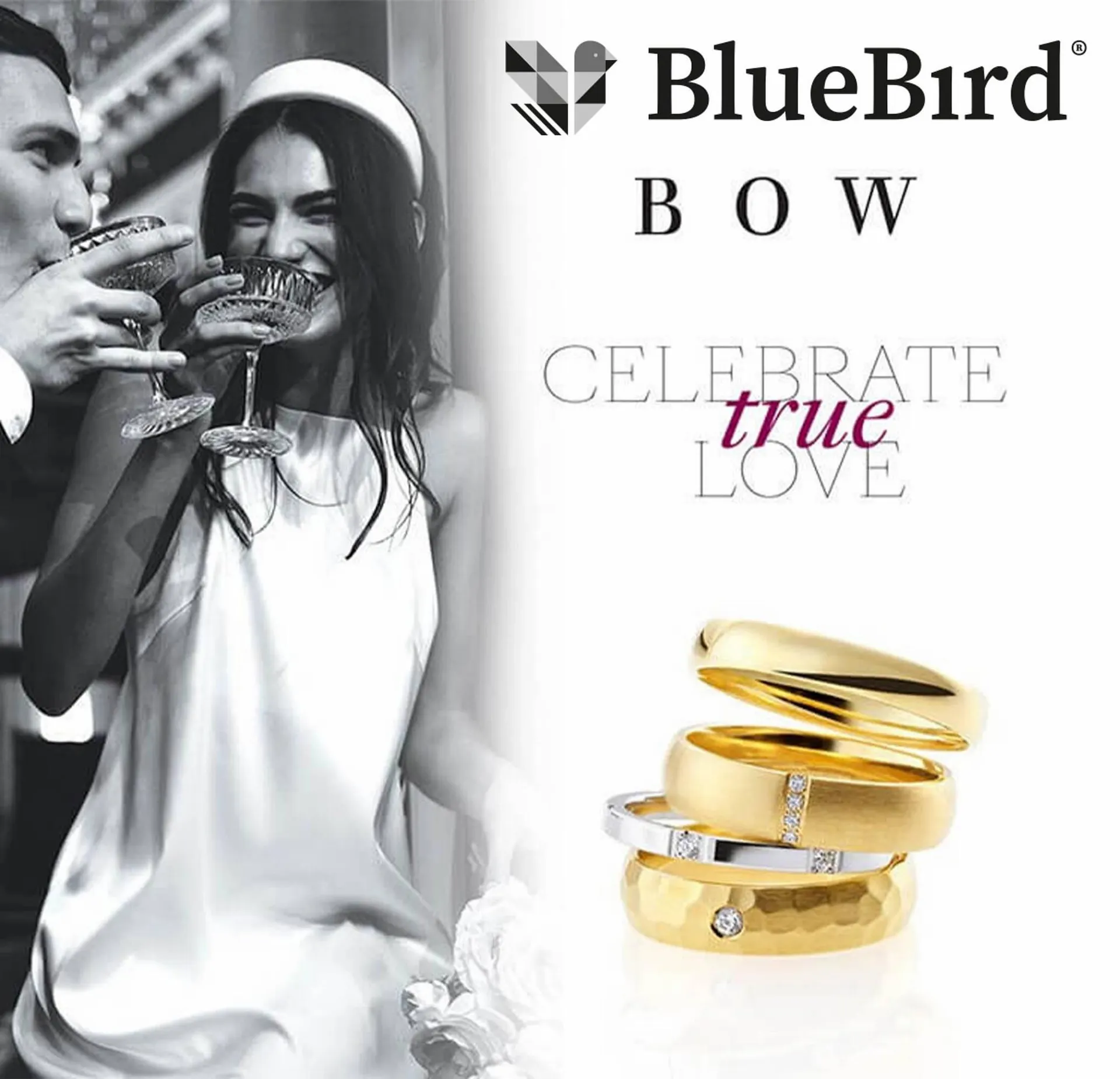 Folheto Folheto Bluebird de 2 de agosto até 31 de agosto 2023 - Pagina 1