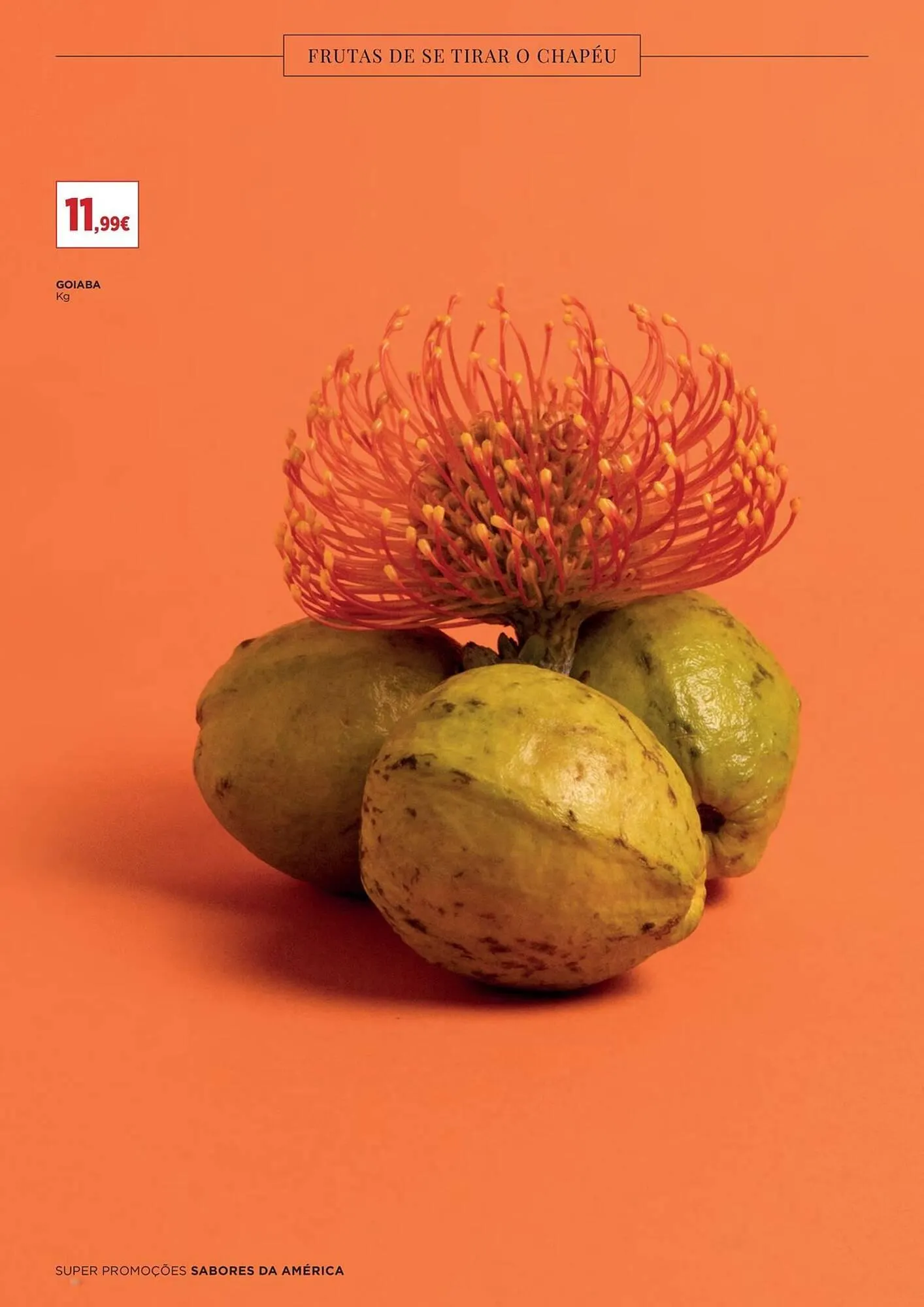 Folheto Folheto El Corte Inglés de 9 de maio até 22 de maio 2025 - Pagina 24