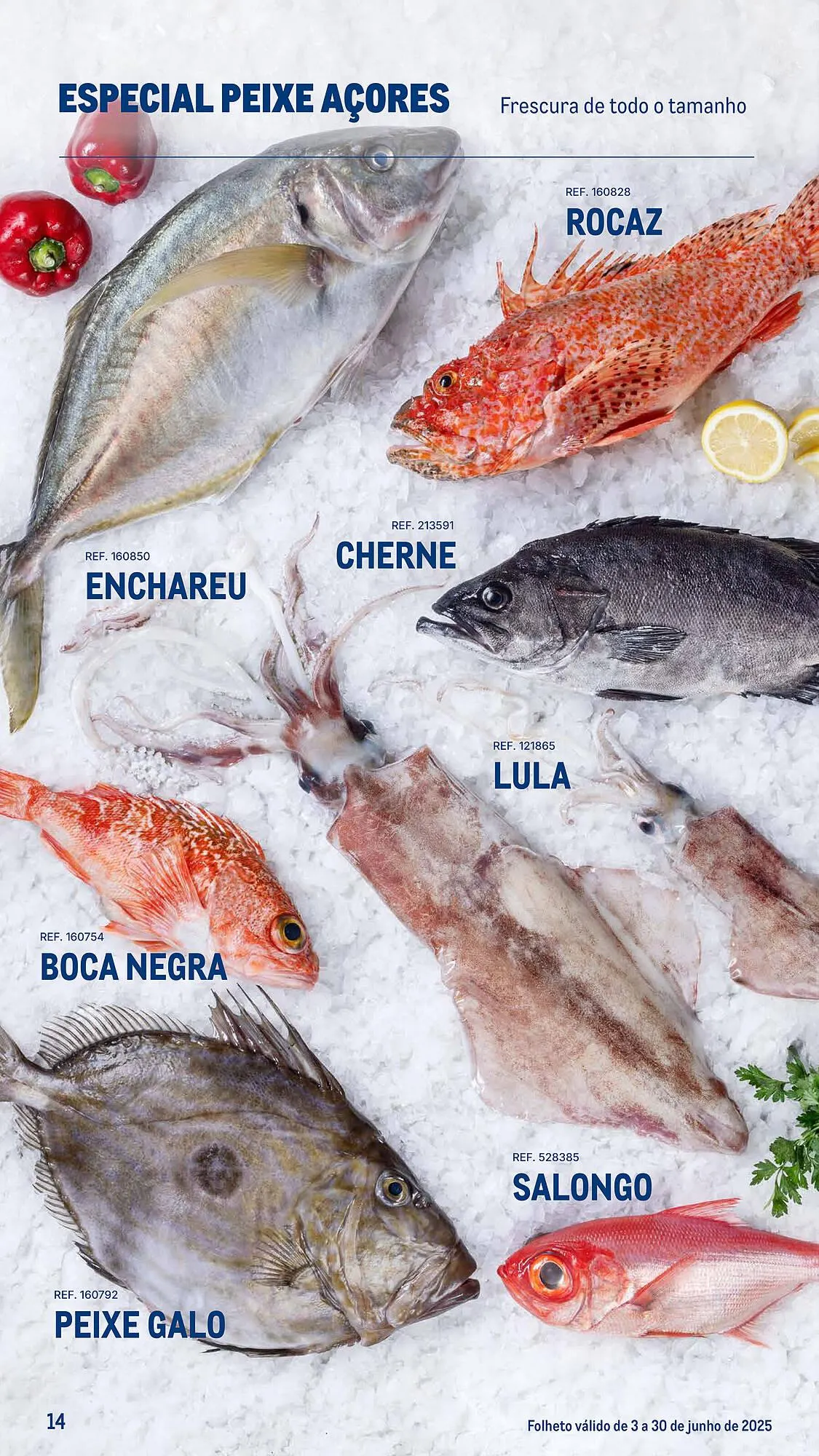 Folheto Folheto Makro de 3 de junho até 30 de junho 2025 - Pagina 14